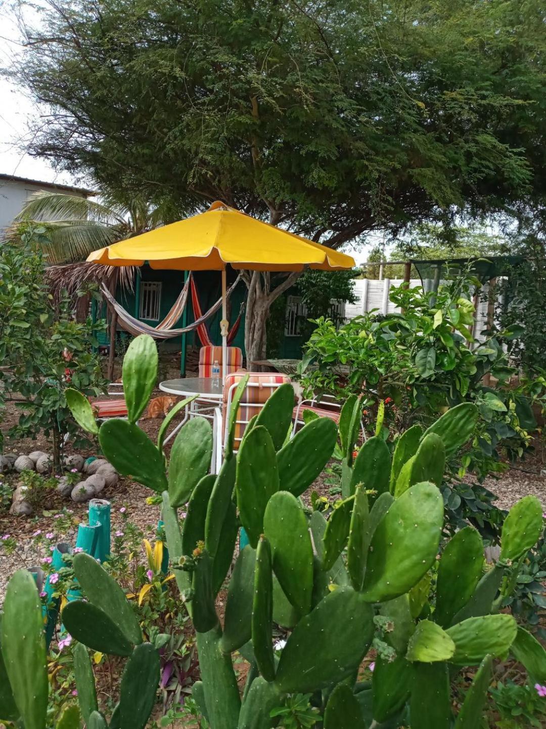 Photo 19