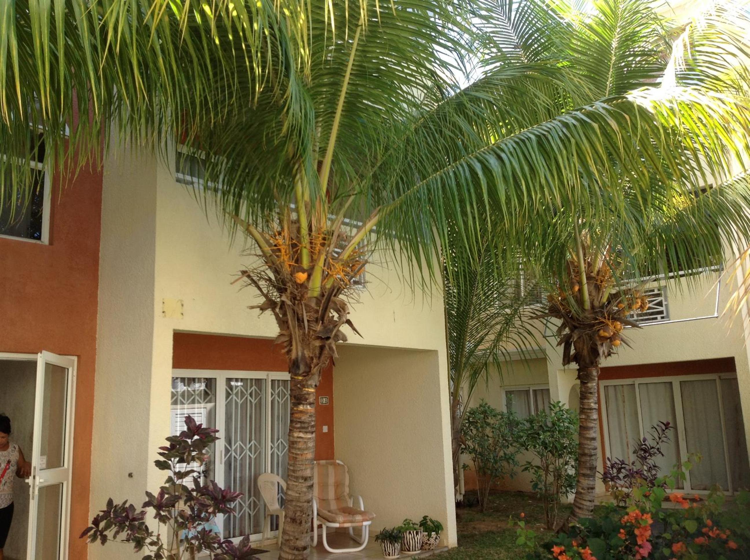 Lovely apartment in Flic en Flac, close to the lovely beach and all amenities view 3