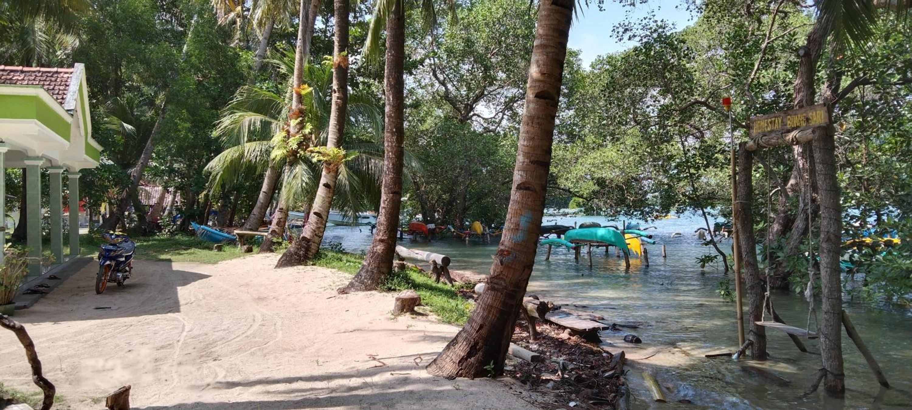 Homestay Buang Sari view 3