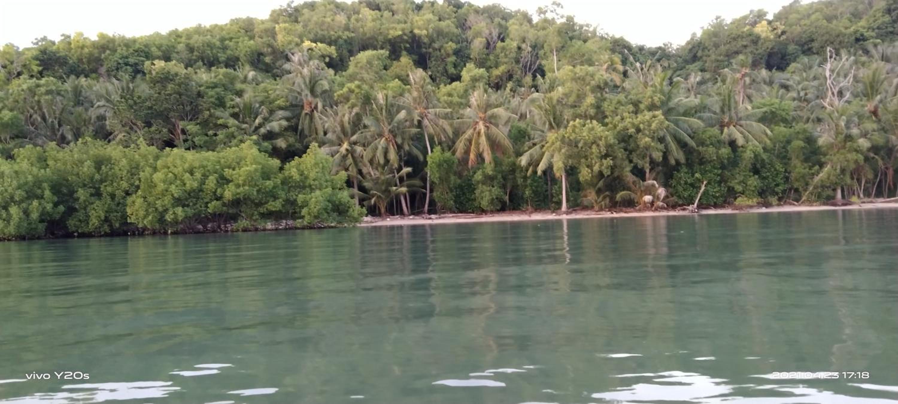 Homestay Buang Sari view 2