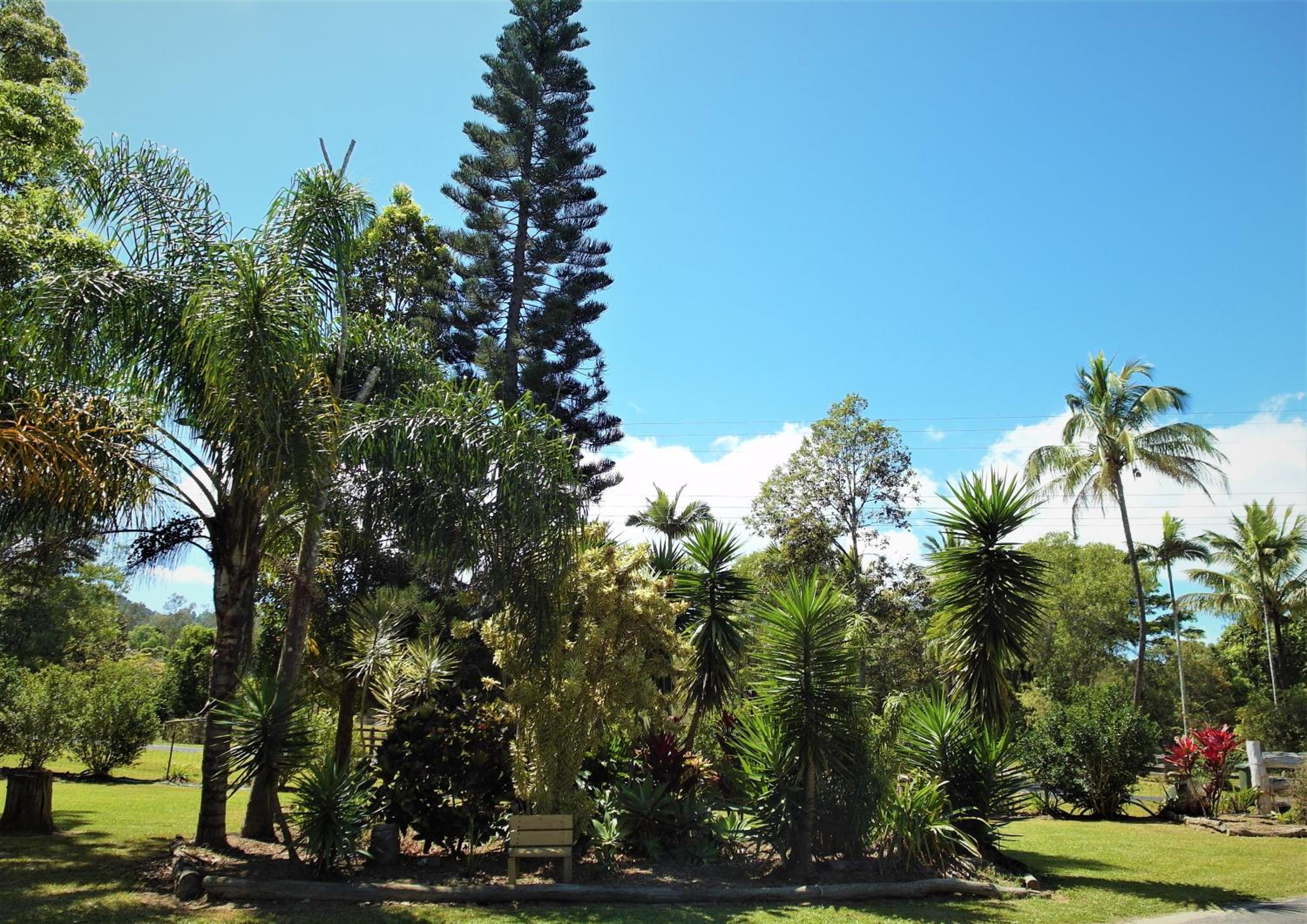 Pademelon Park BnB