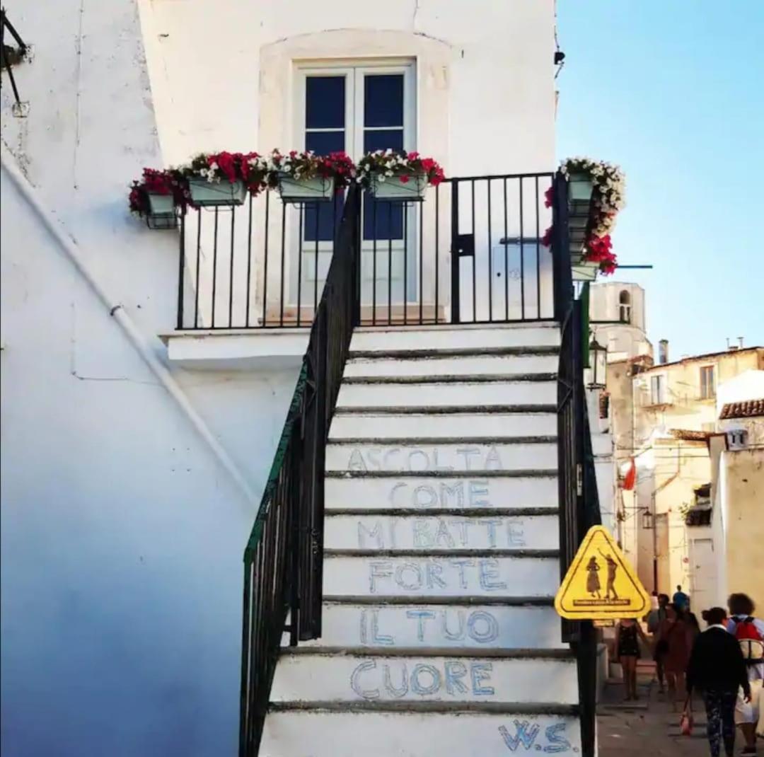 Maison Isabelle — photo 4