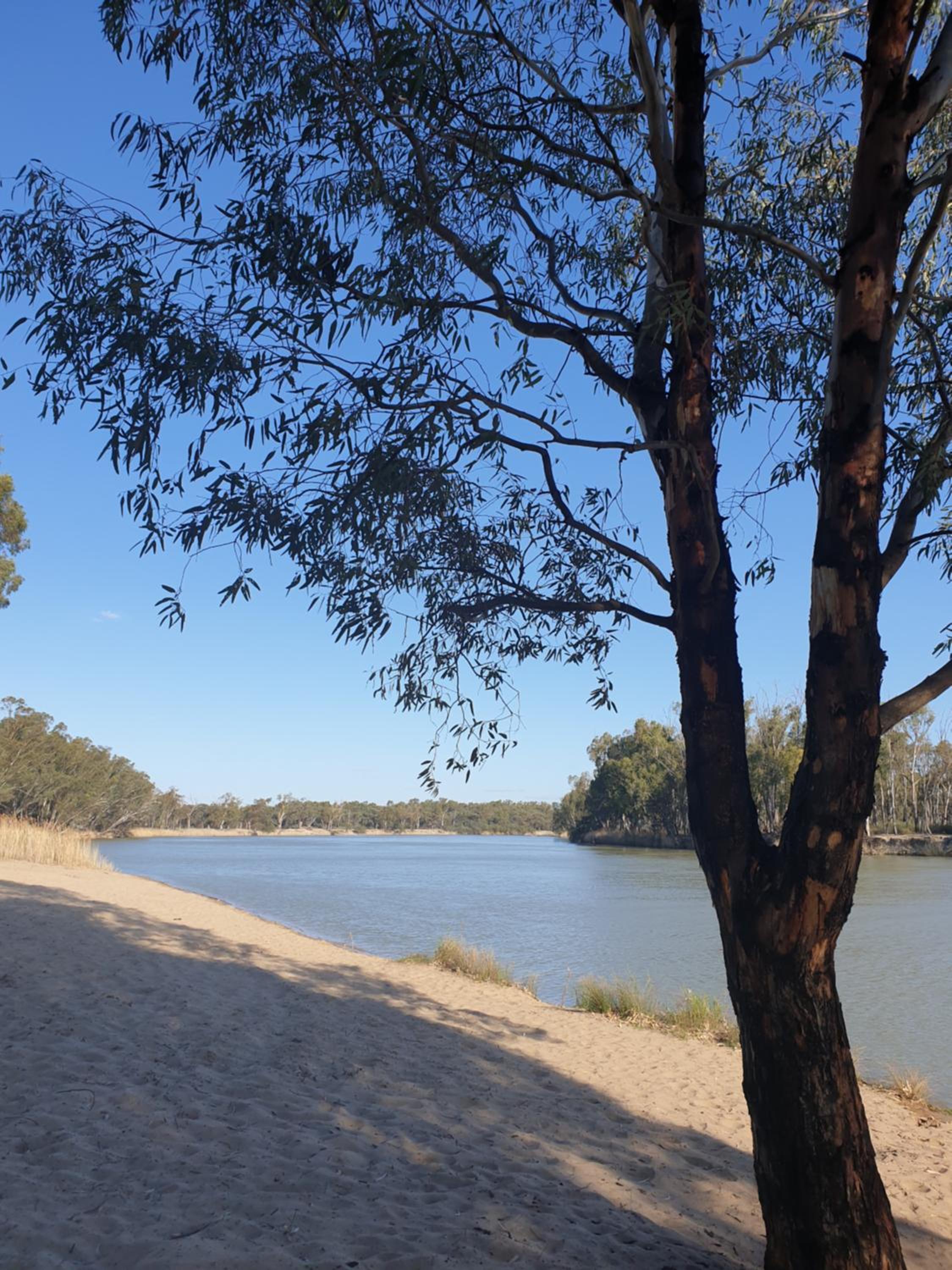 Riversands Rest Accommodation Paringa - Willow Cottage