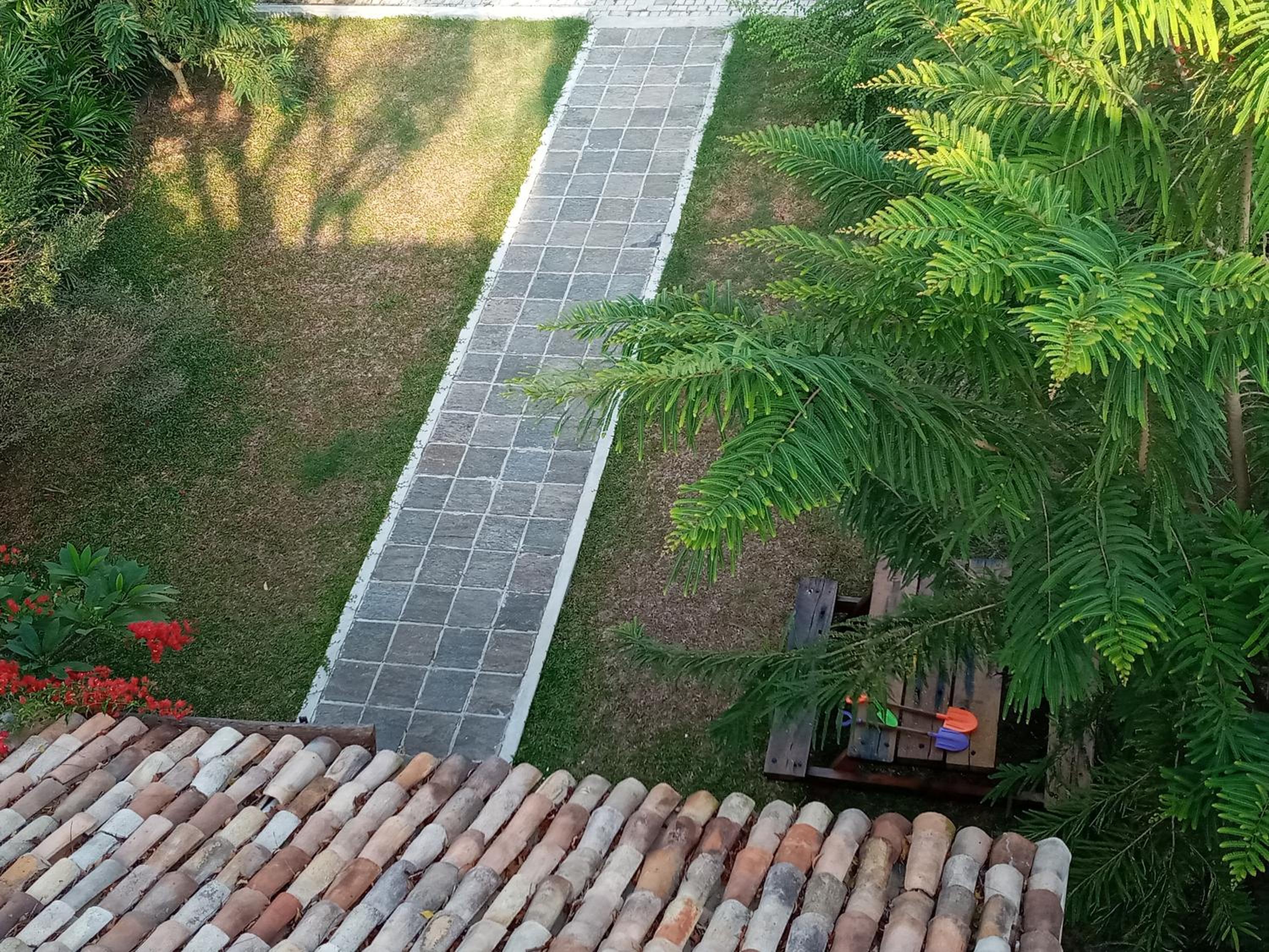 Photo 46