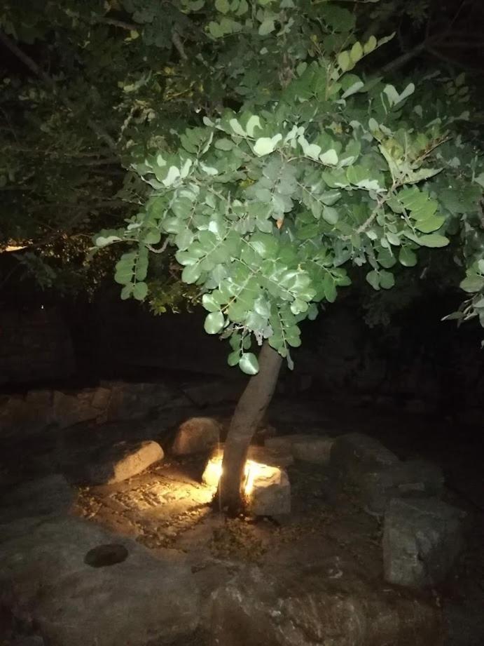 Agriturismo Fondo Paliemmu