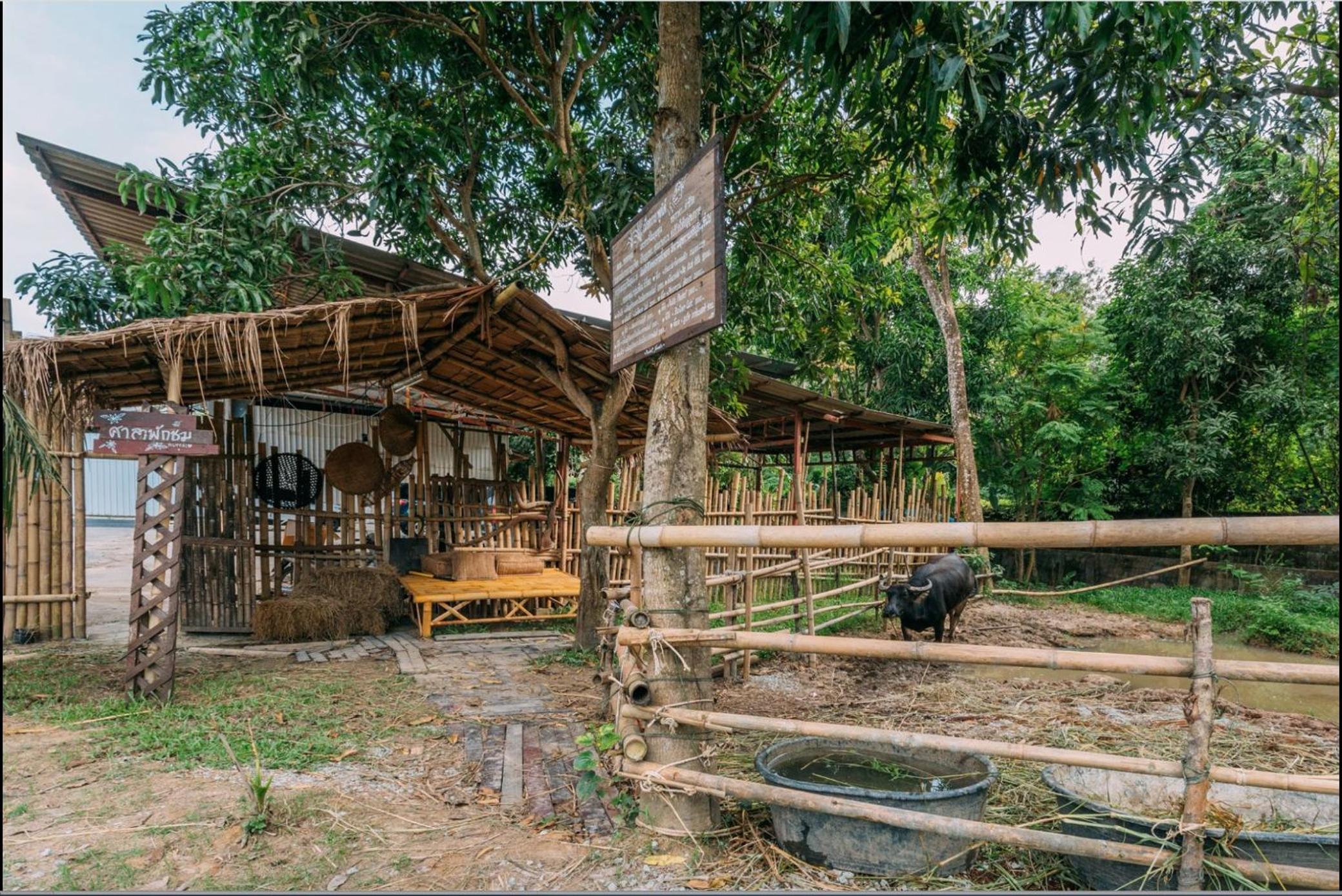 Phuket Nonnita Boutique Resort & Organic Farm