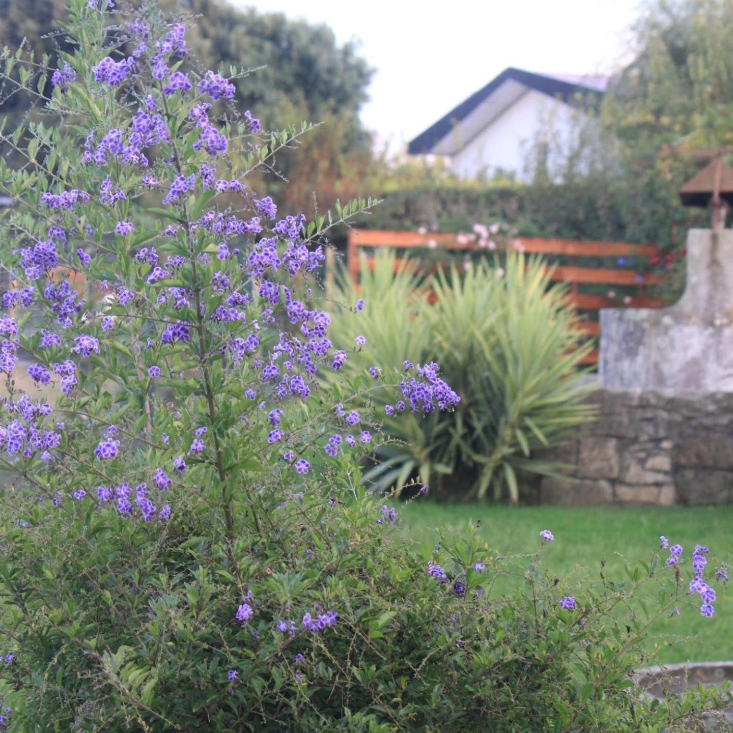 Photo 34