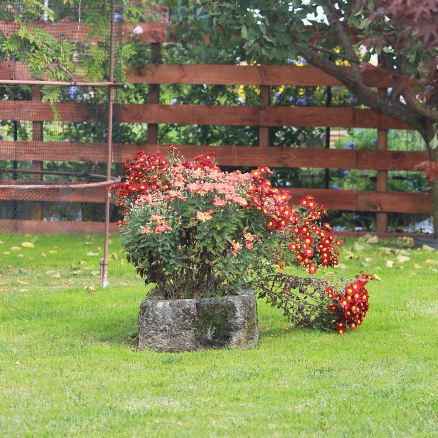 Photo 32