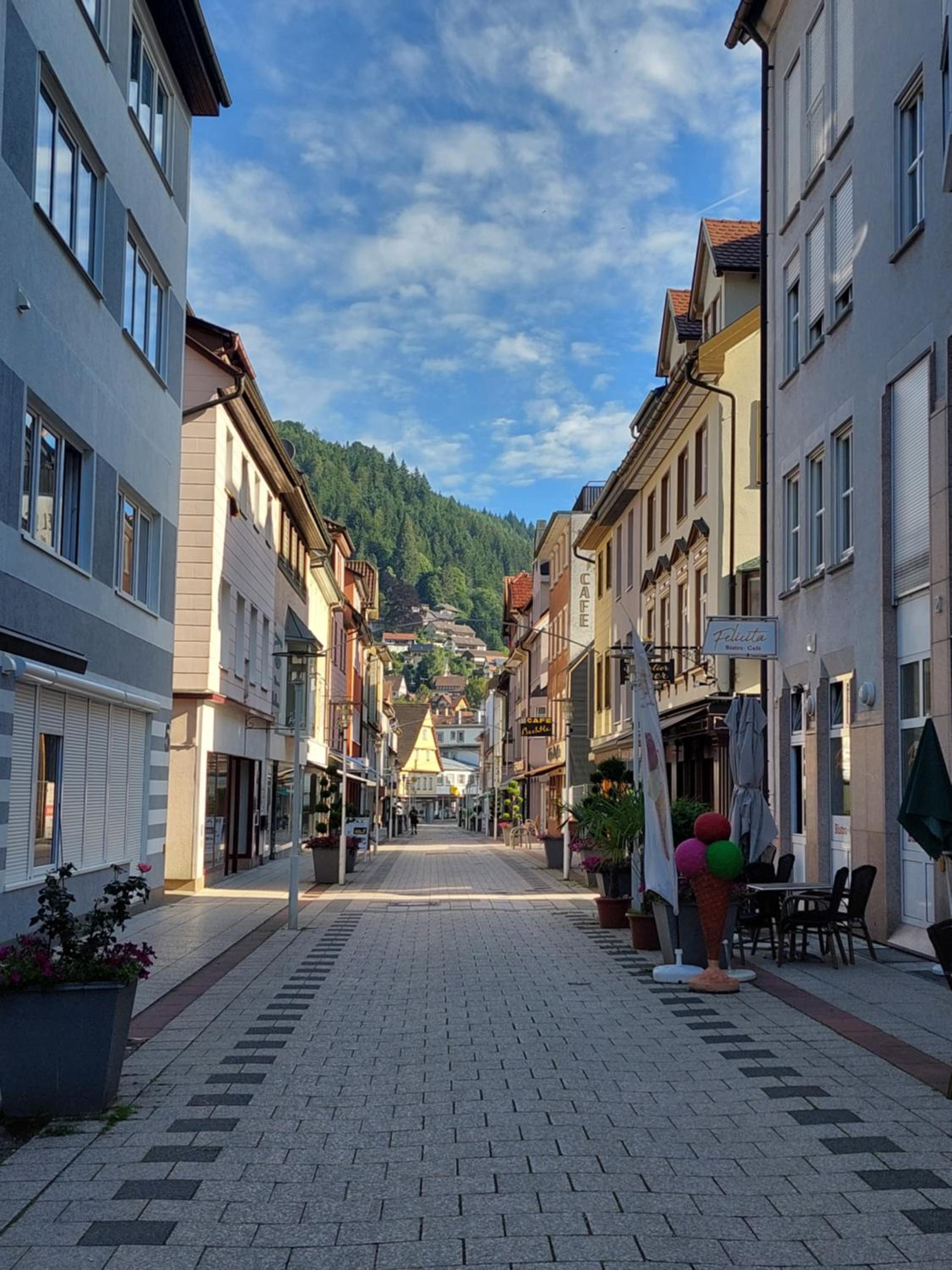 Apartement am Waldrand