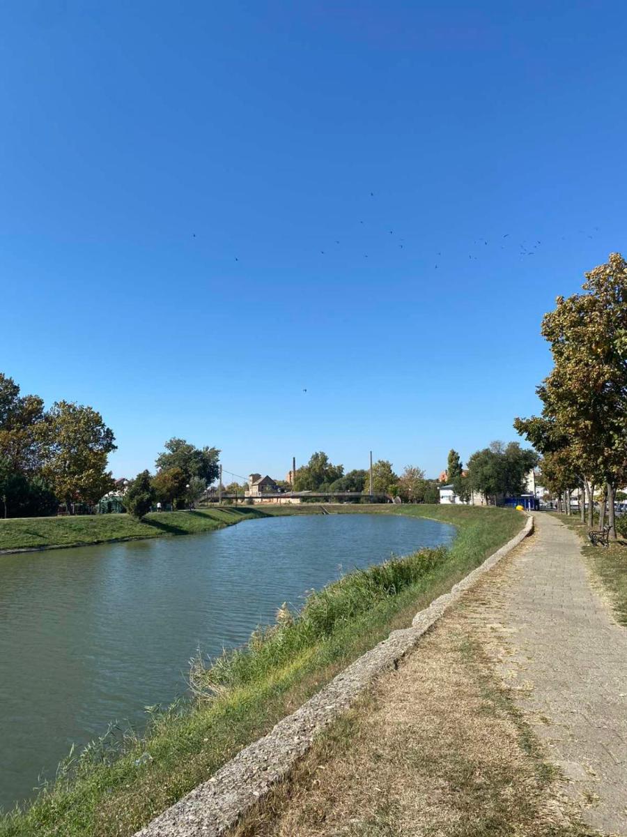 Apartman Georg view 4