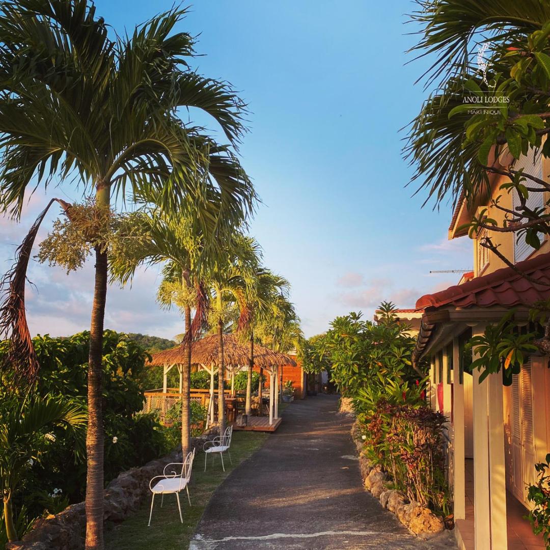 Anoli Lodges