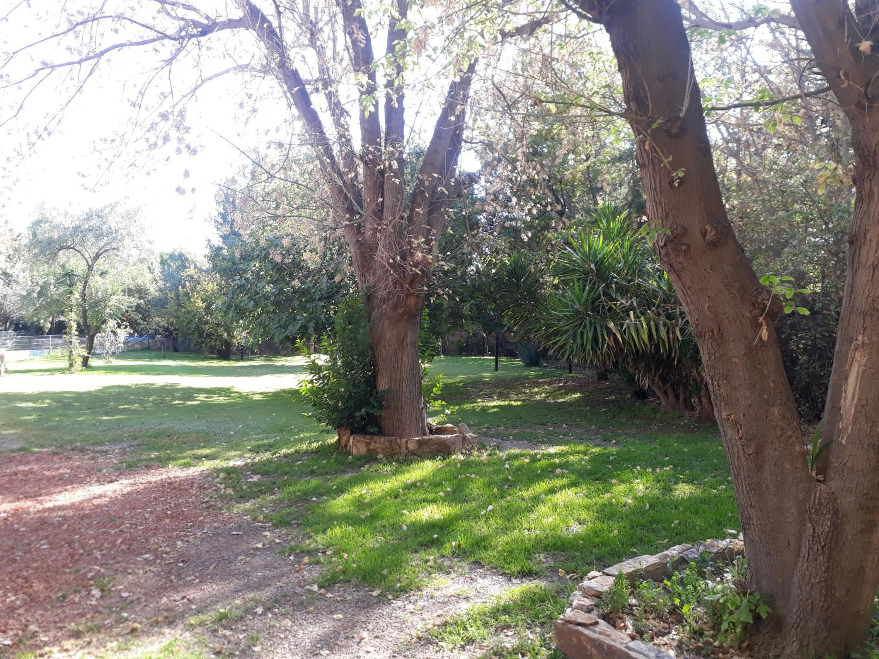 La casita en el parque