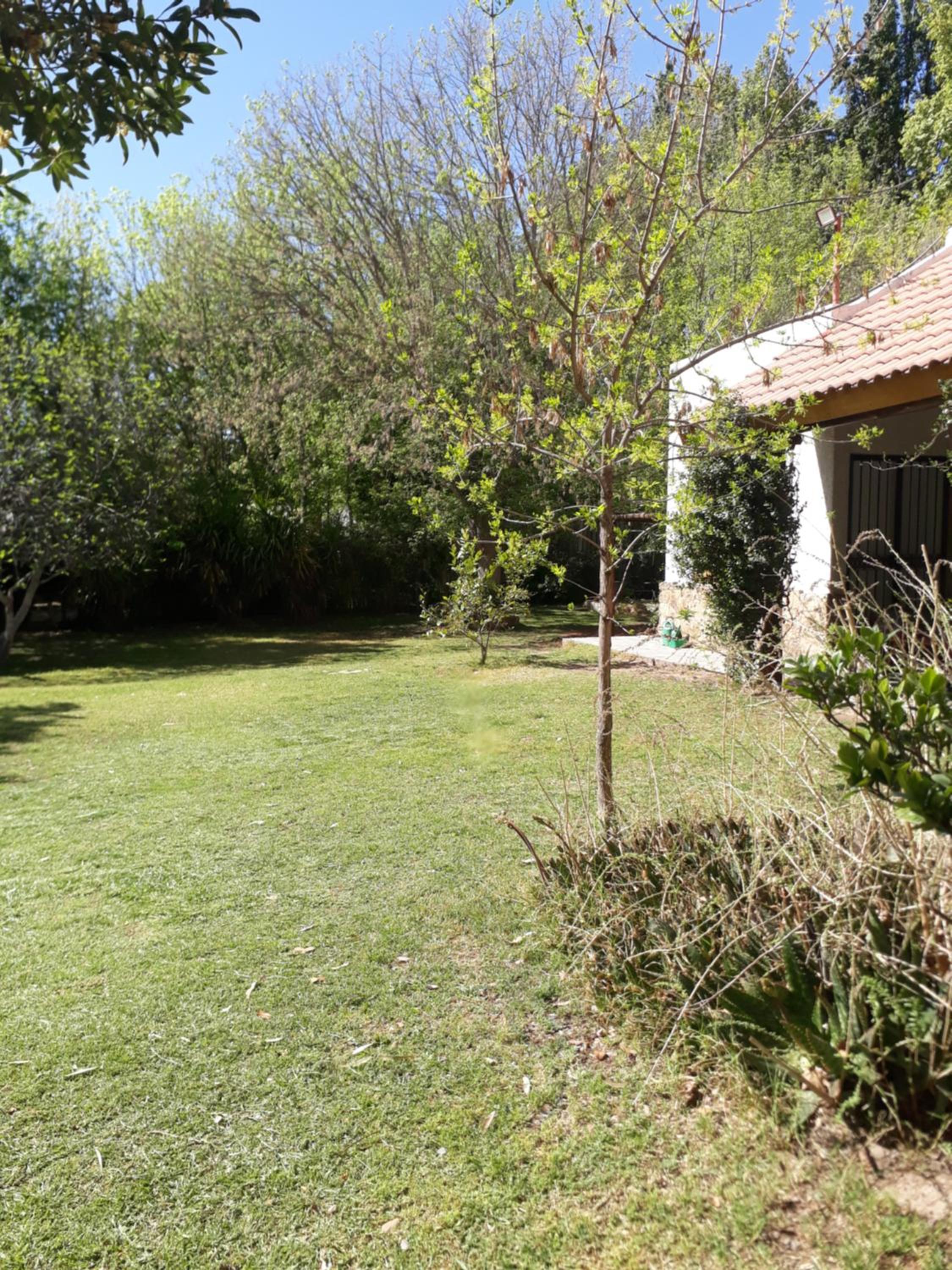 La casita en el parque