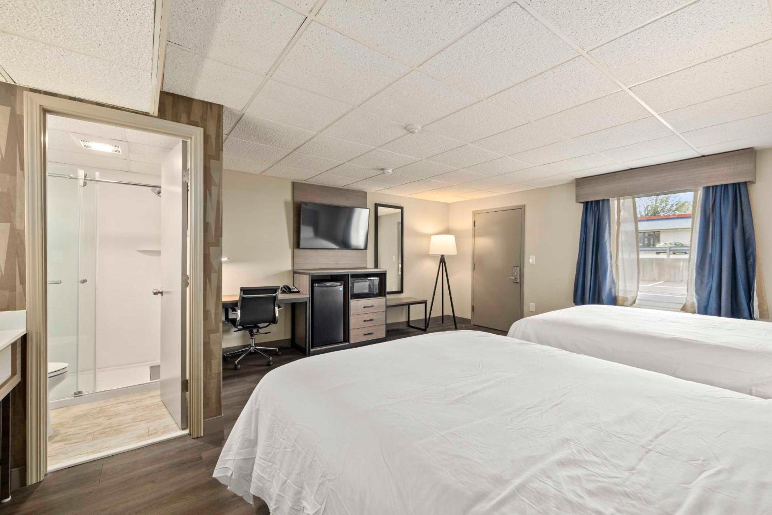 The Elmwood, Billede 23