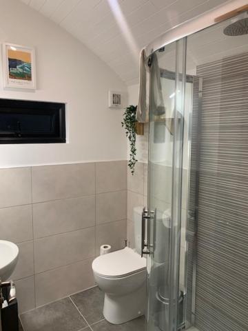 Castledarcy Glamping