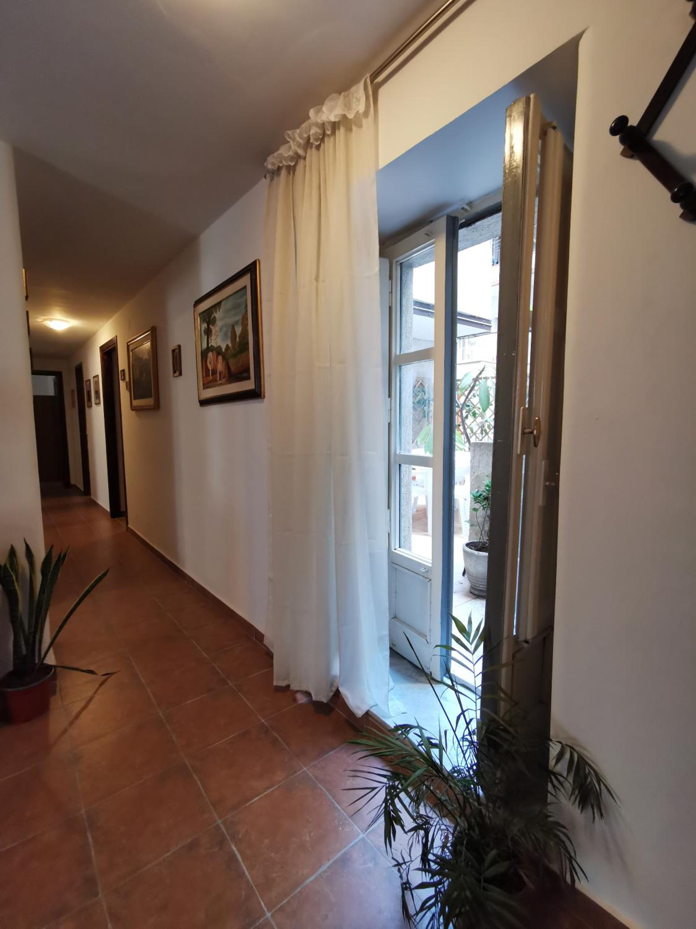House Stephanotus photo 5