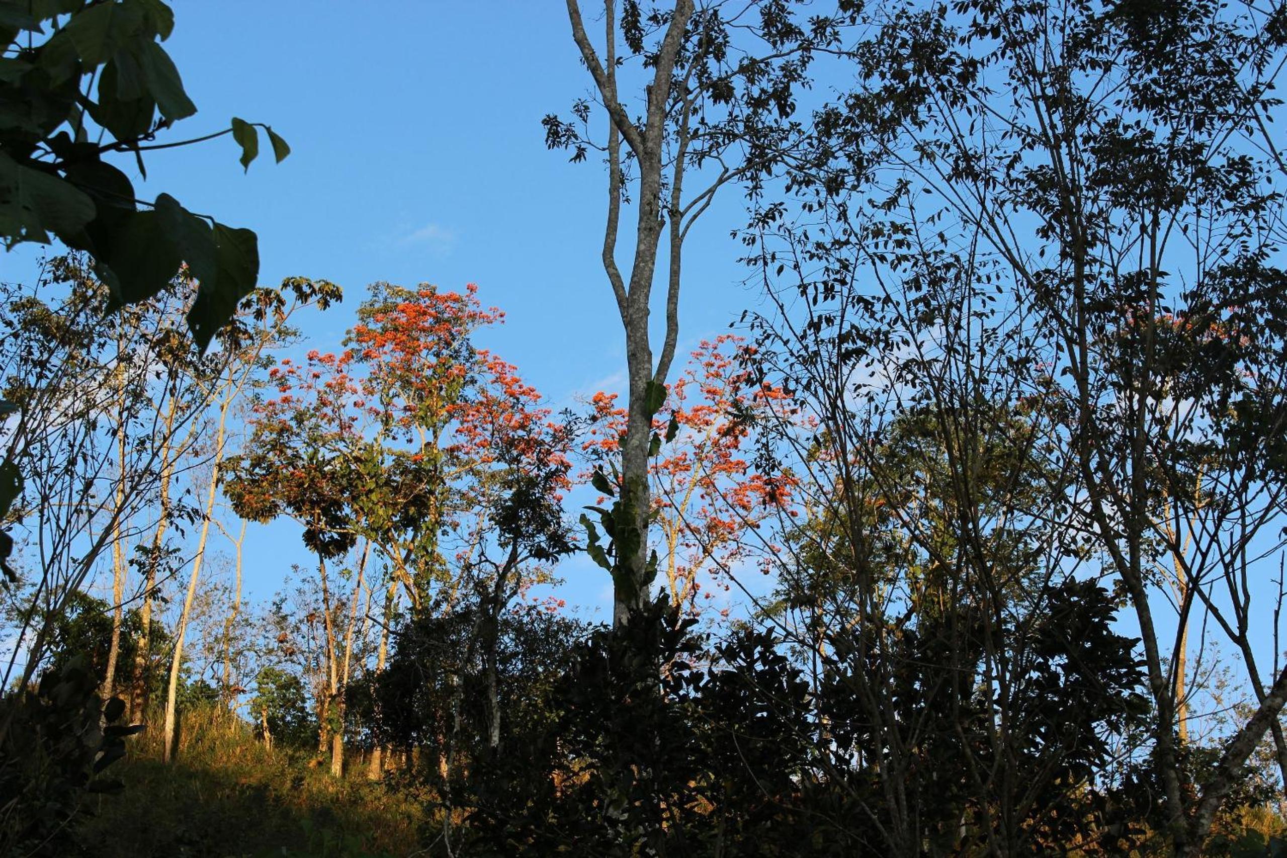 Casa Colibrí