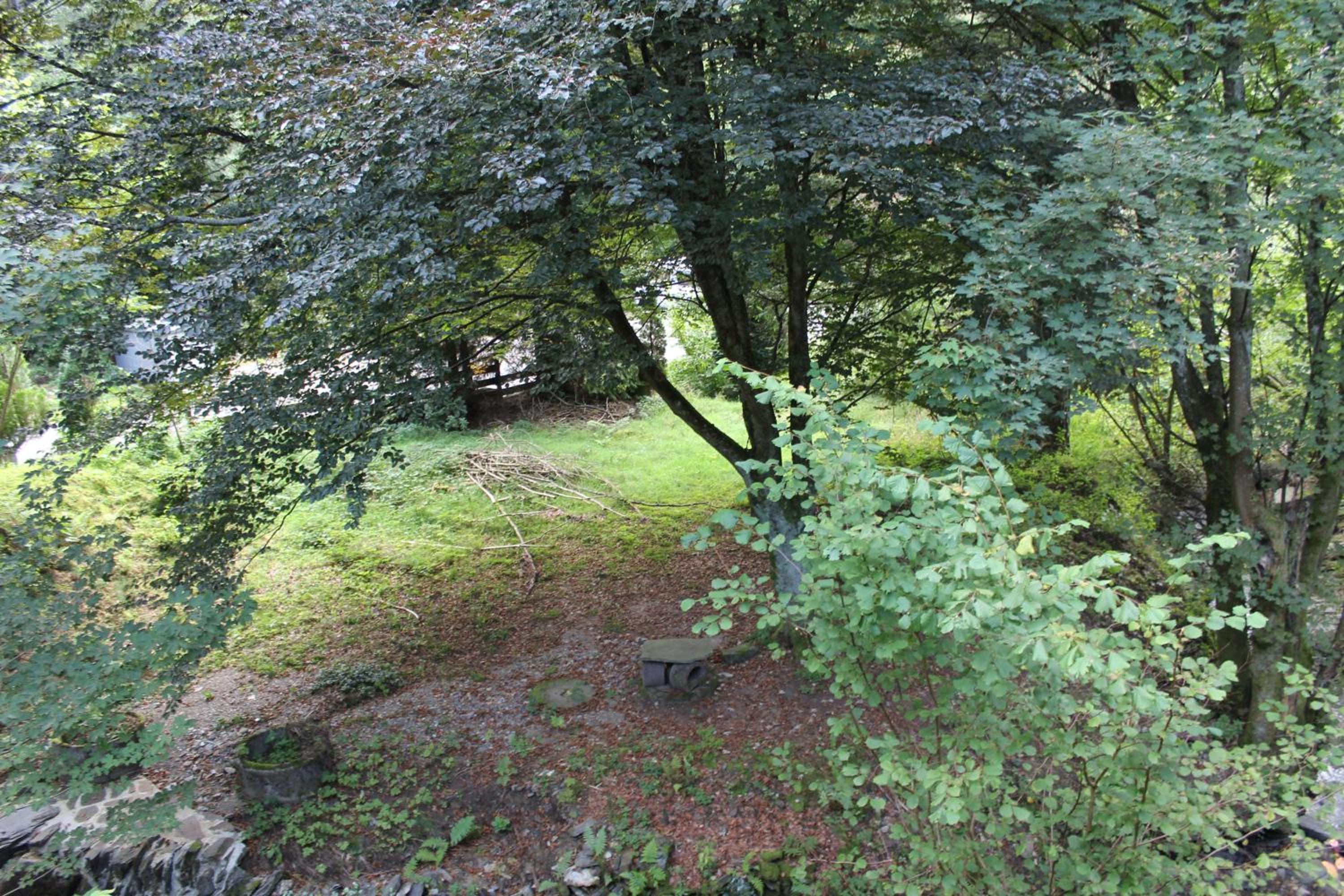 Rivendell 9