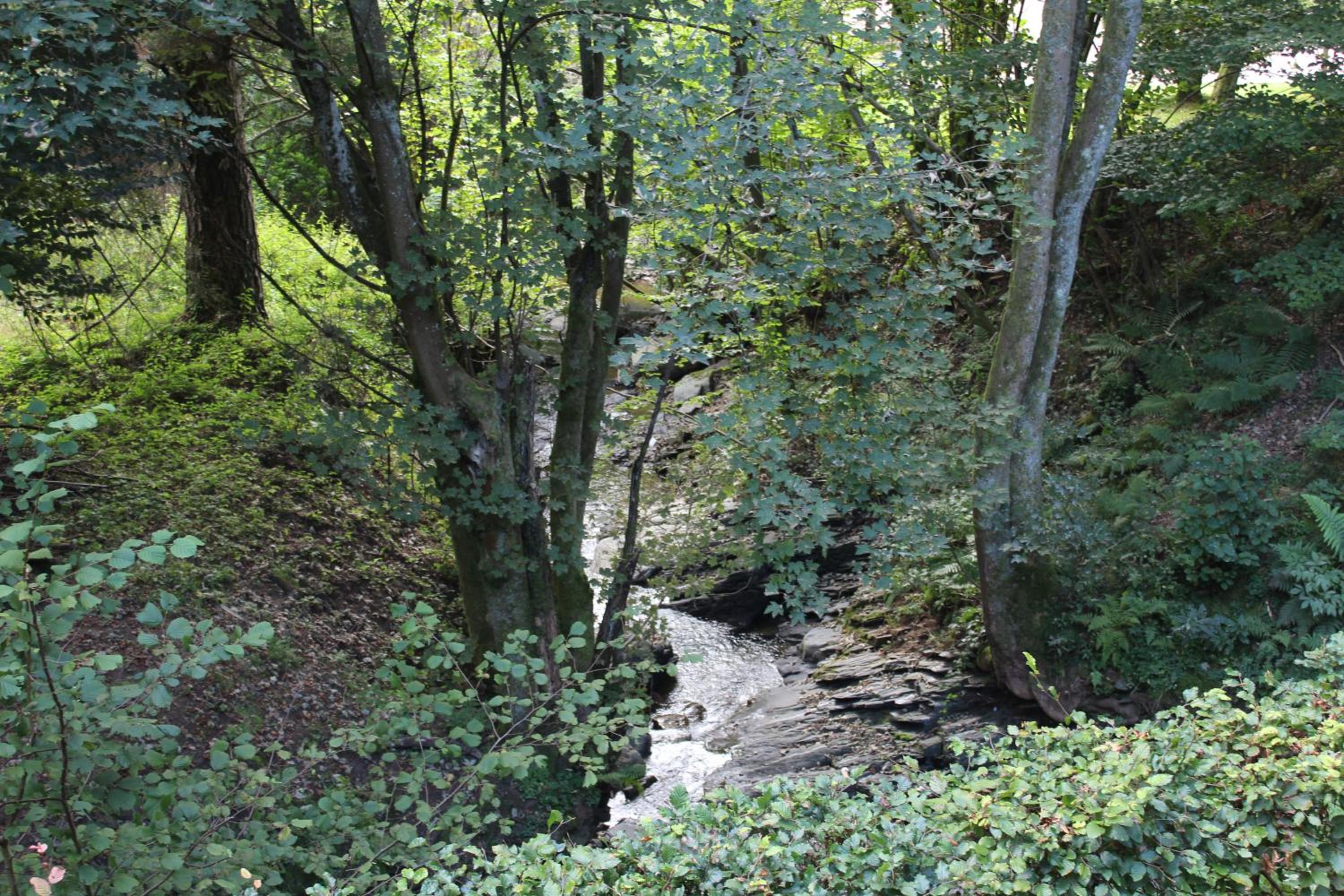 Rivendell 9