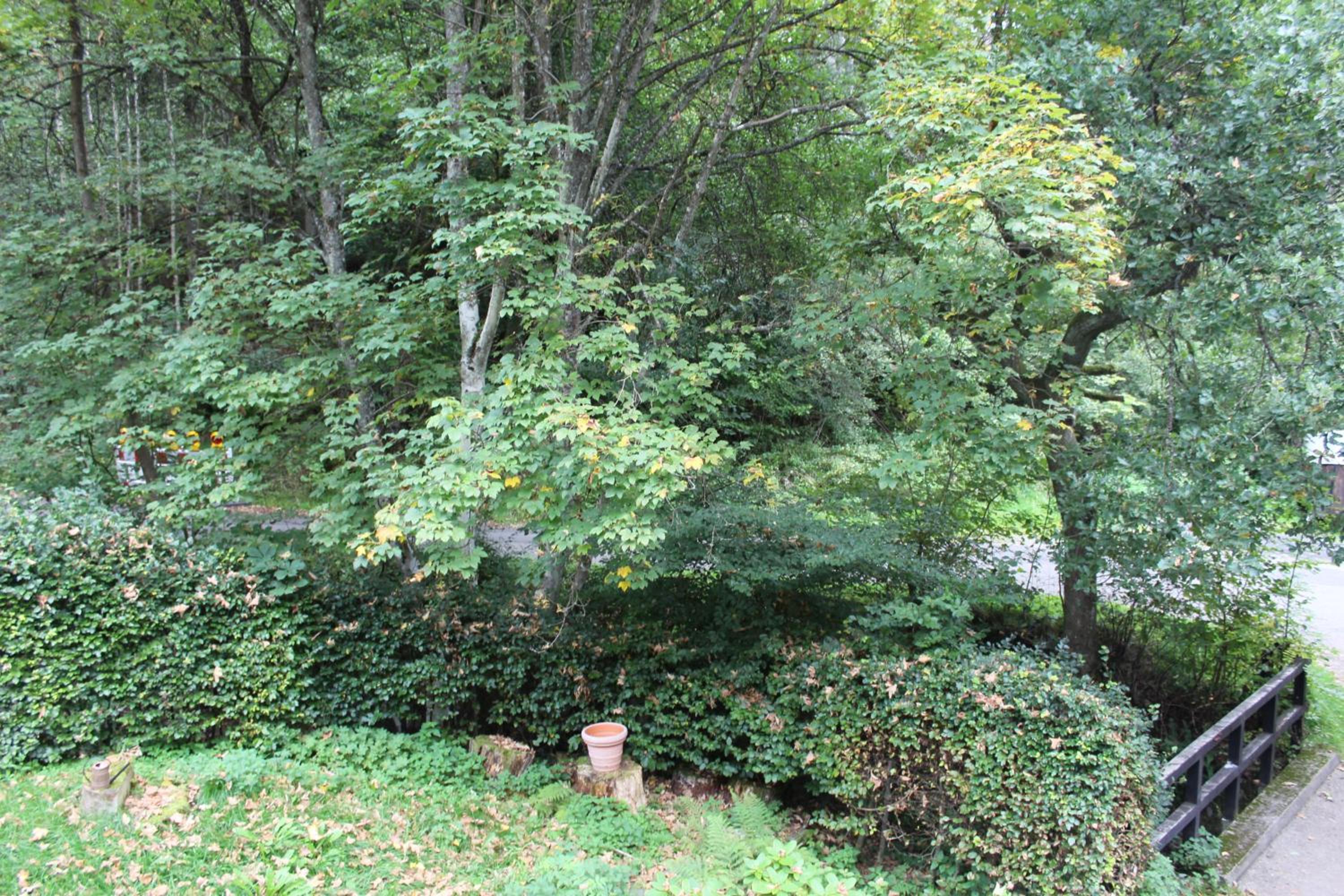 Rivendell 9