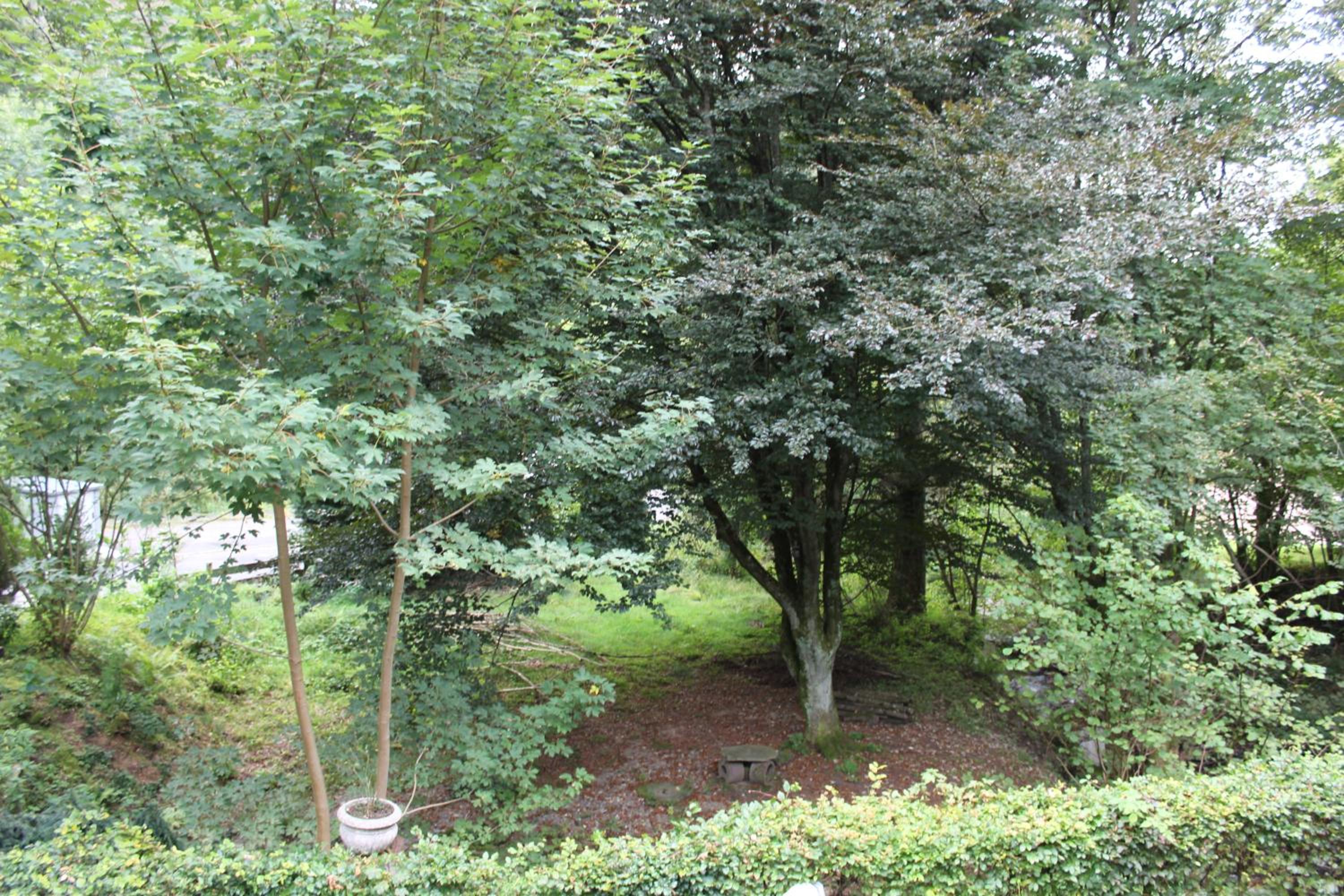 Rivendell 9