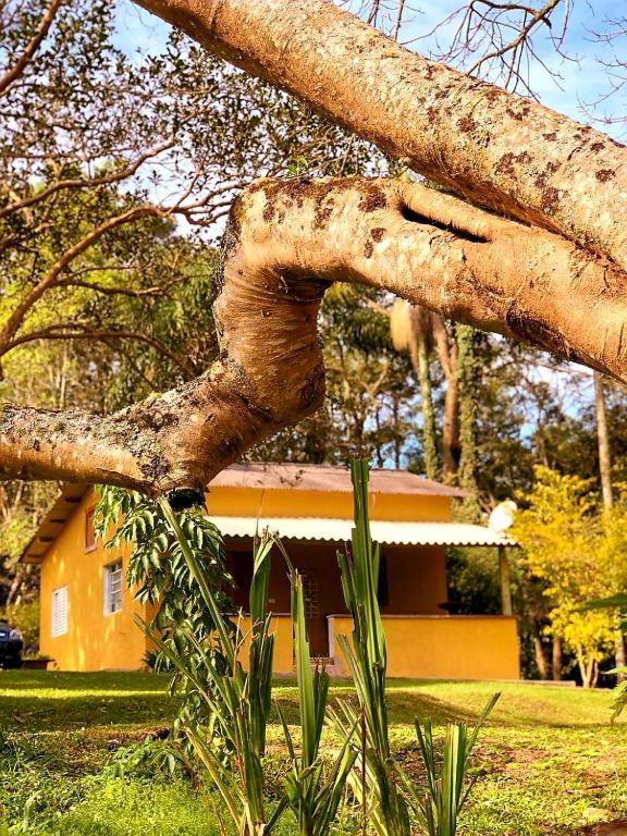 Pousada Sitio da Terra e Arte