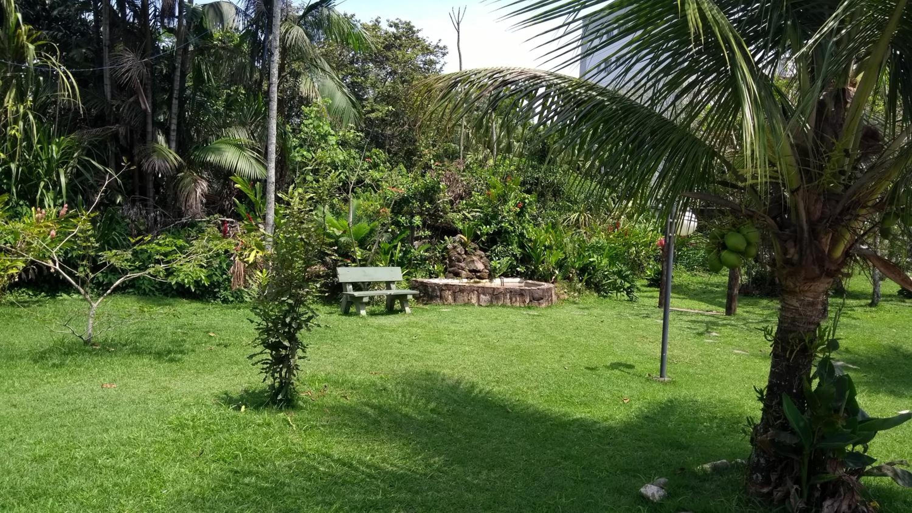 Photo 19