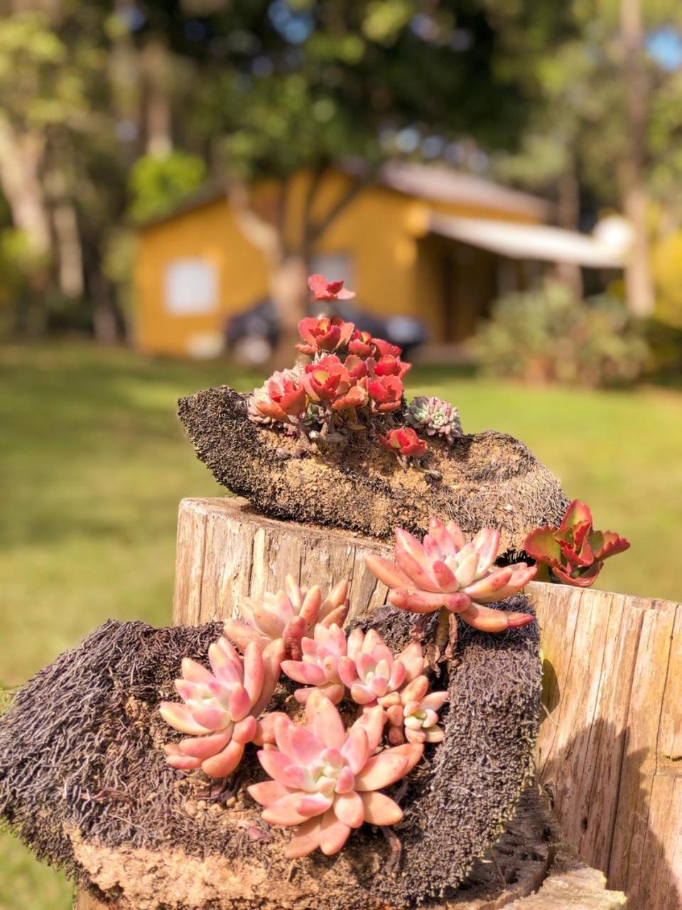 Pousada Sitio da Terra e Arte