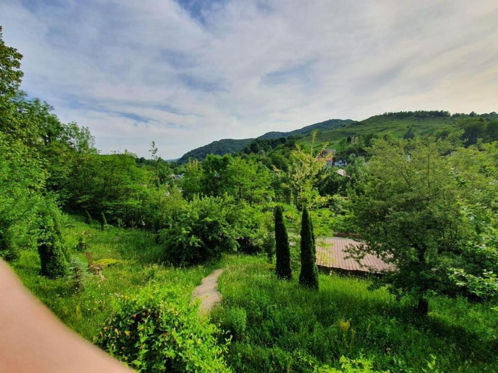 VILA GIGI, ideala pentru relaxare si distractie! view 2