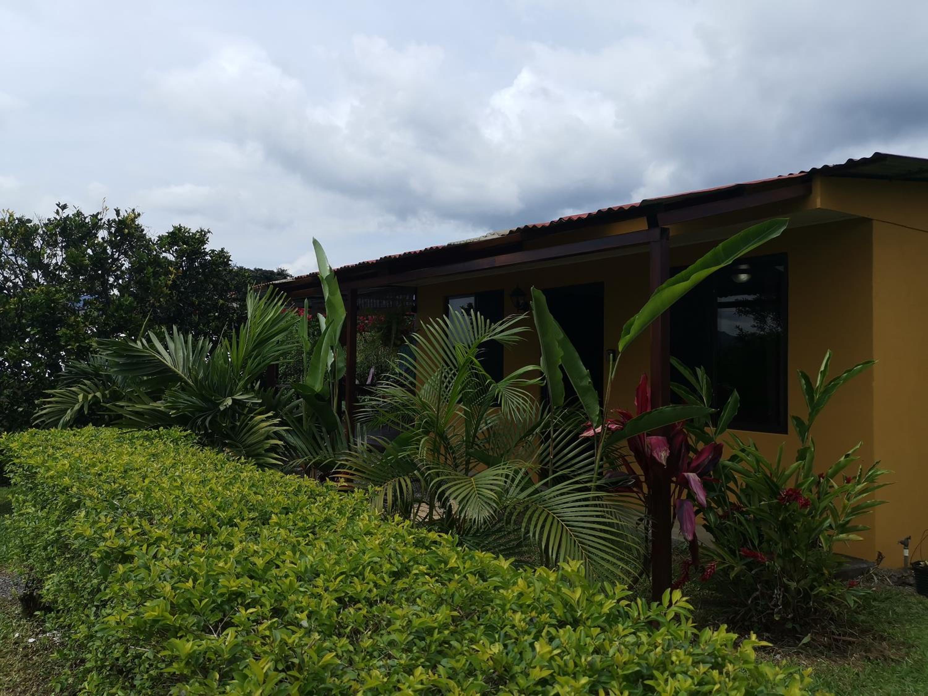 The Dreamcatcher House