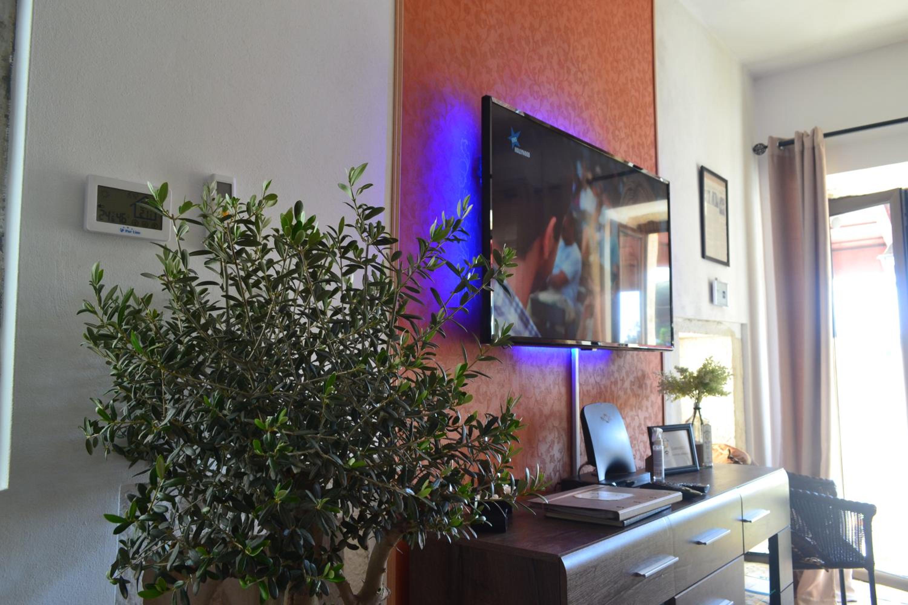 Photo 46