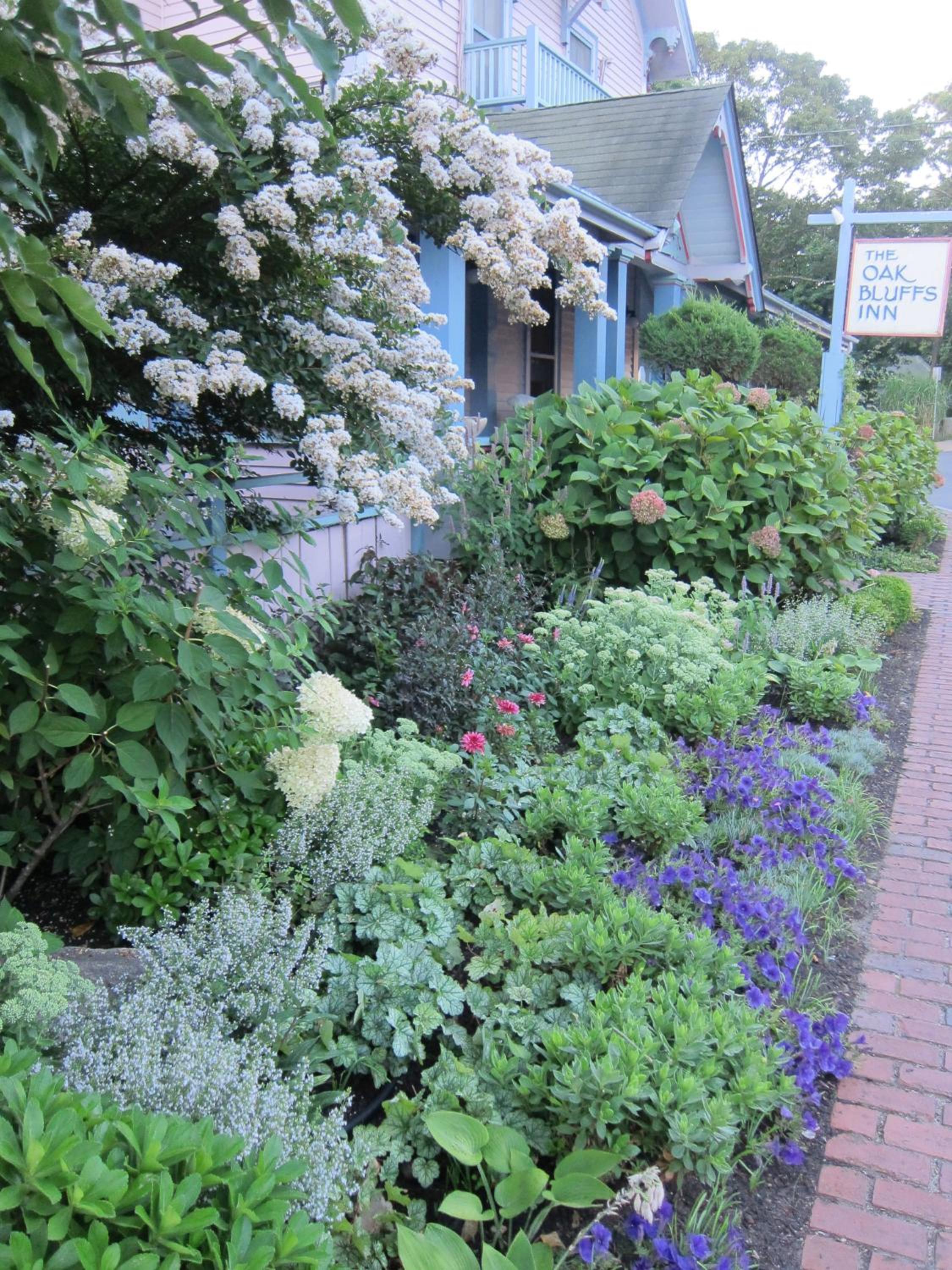 The Oak Bluffs Inn
