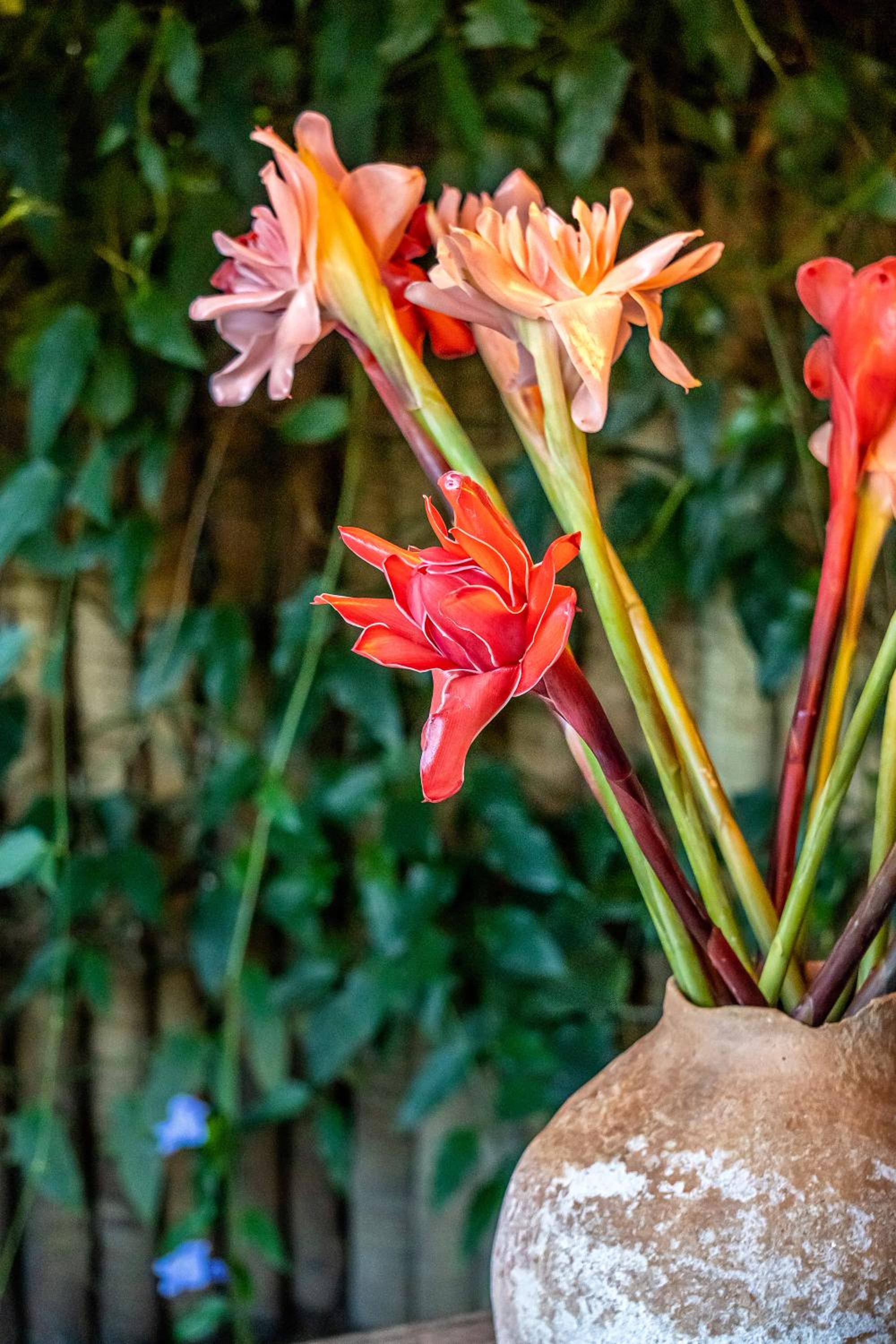 Vila Rudá Trancoso
