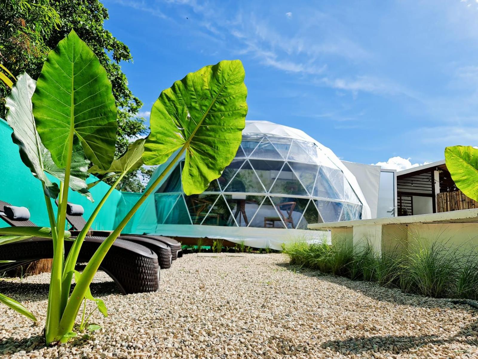 Ubuntu Glamping view 4