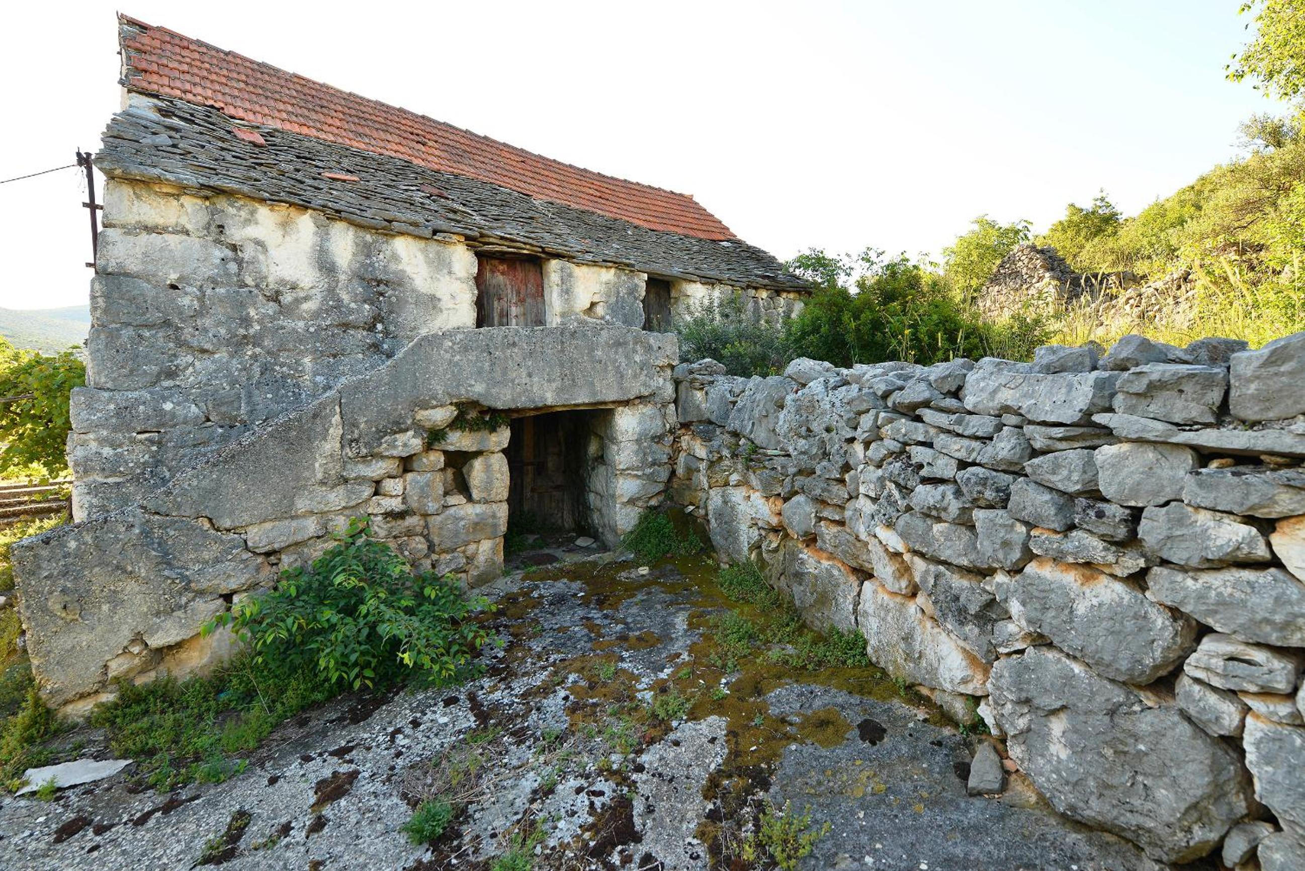 Photo 26