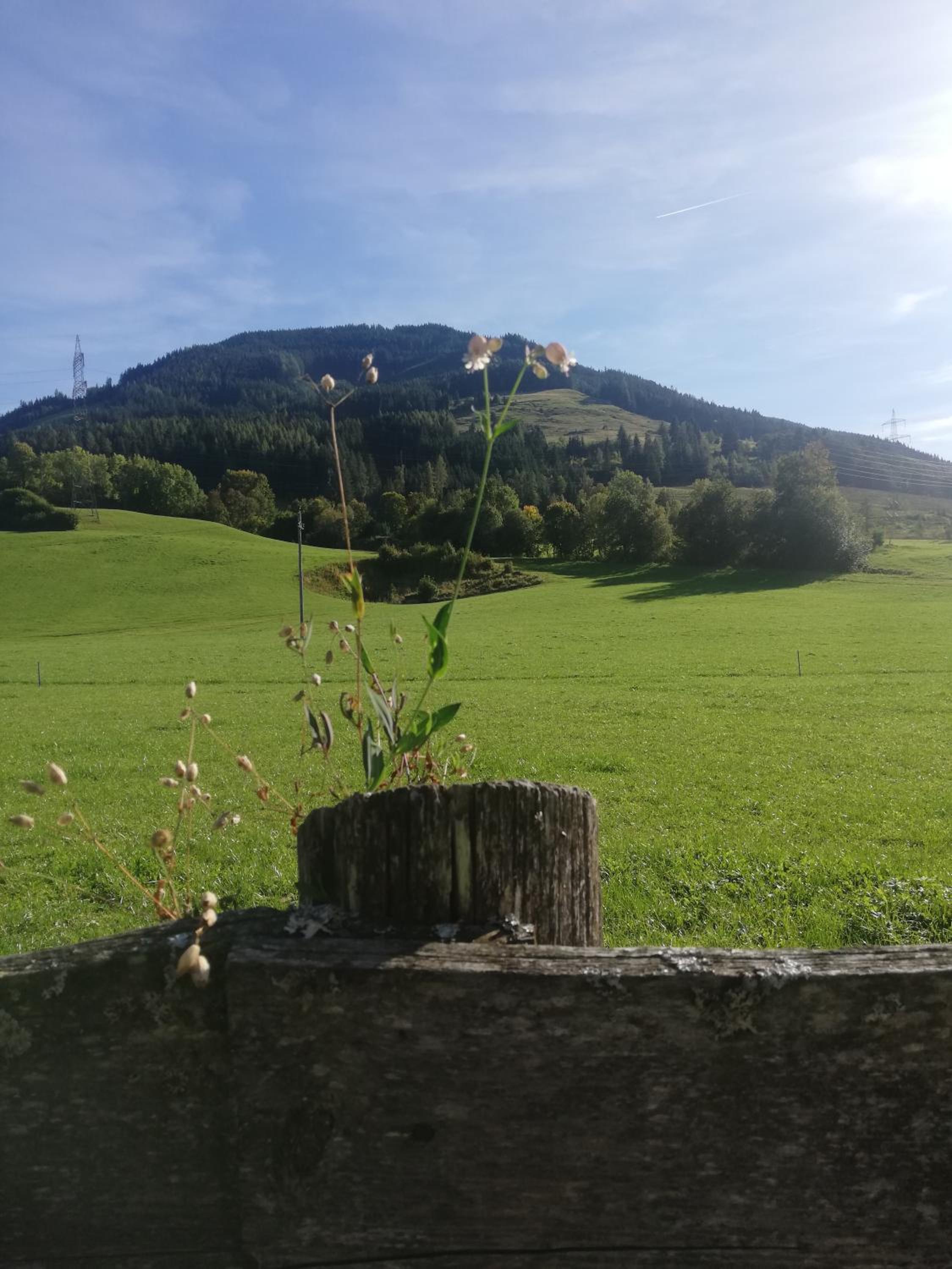 Haus Schreder
