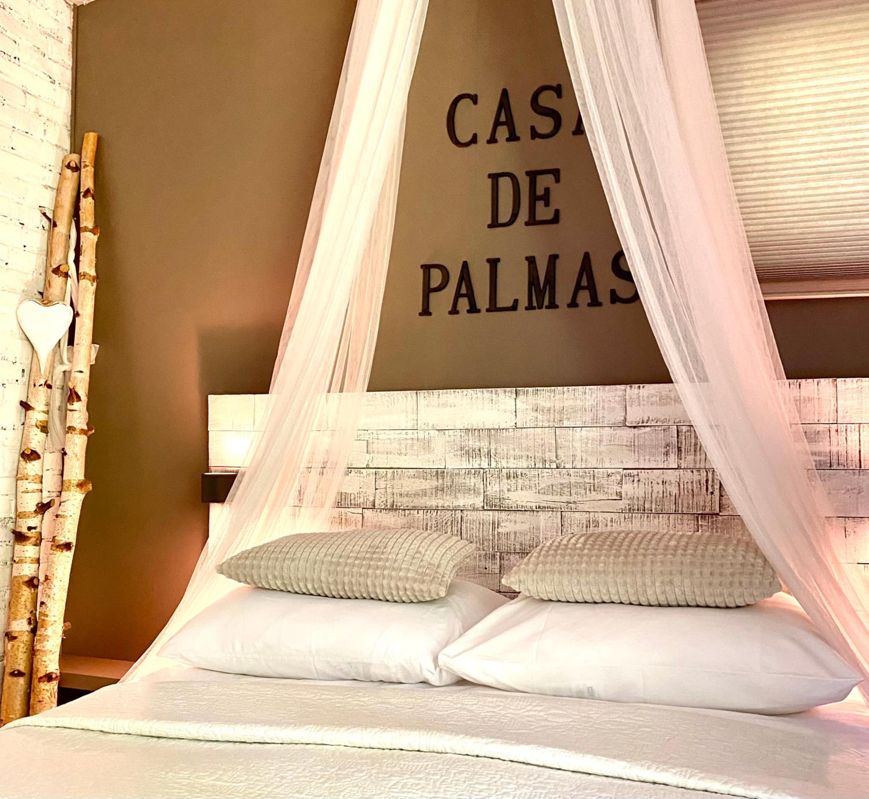 Casa De Palmas - Tiny house view 3
