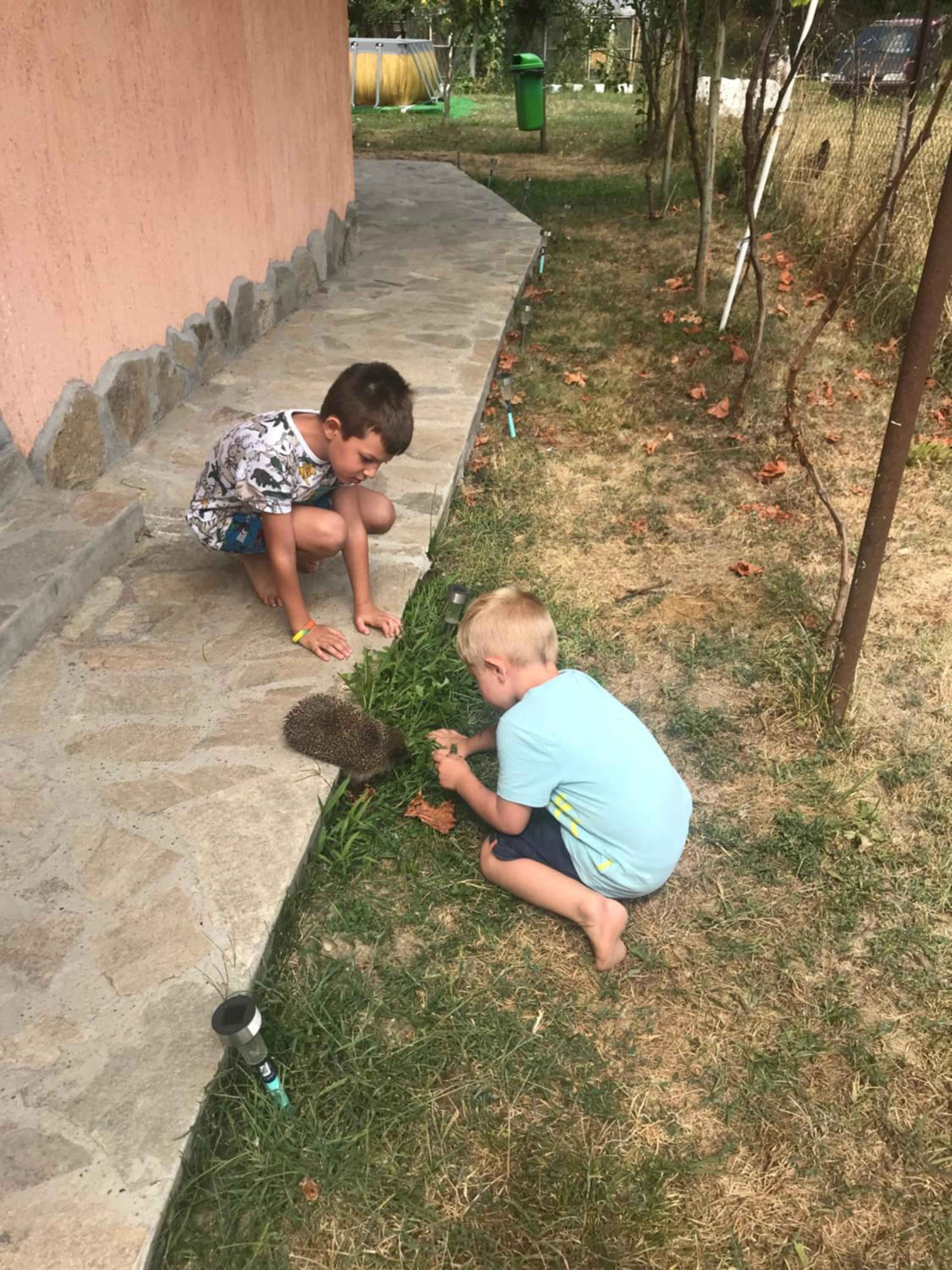 GUEST HOUSE TONI СТАИ за ГОСТИ ТОНИ