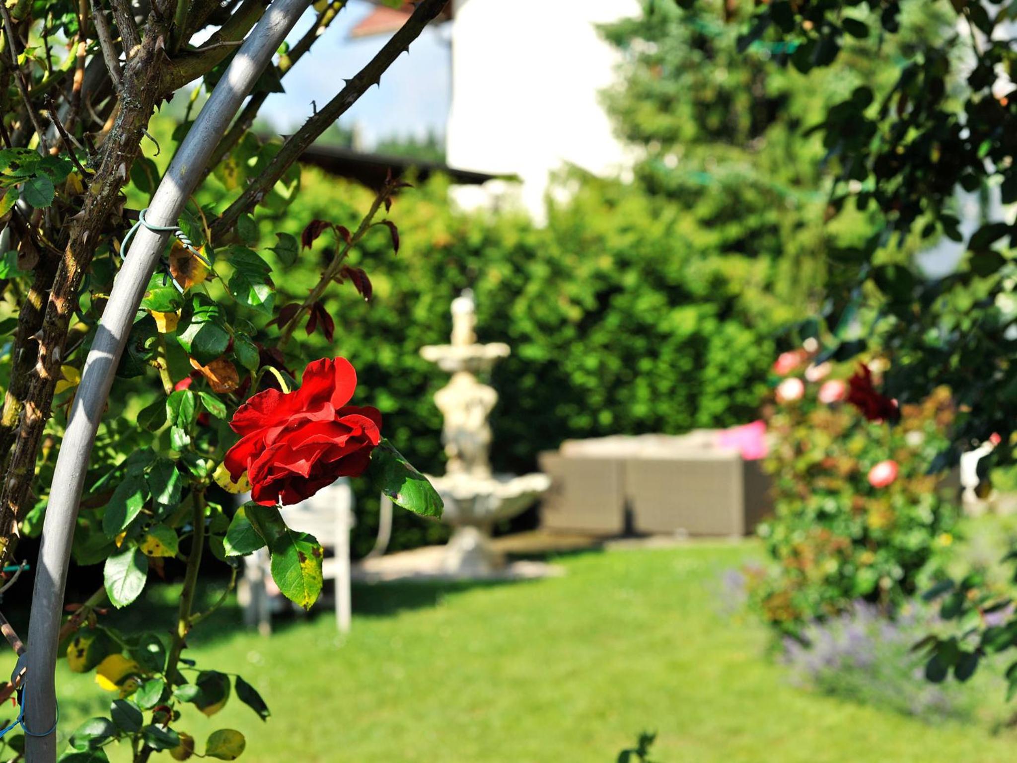 Pension Piovesan