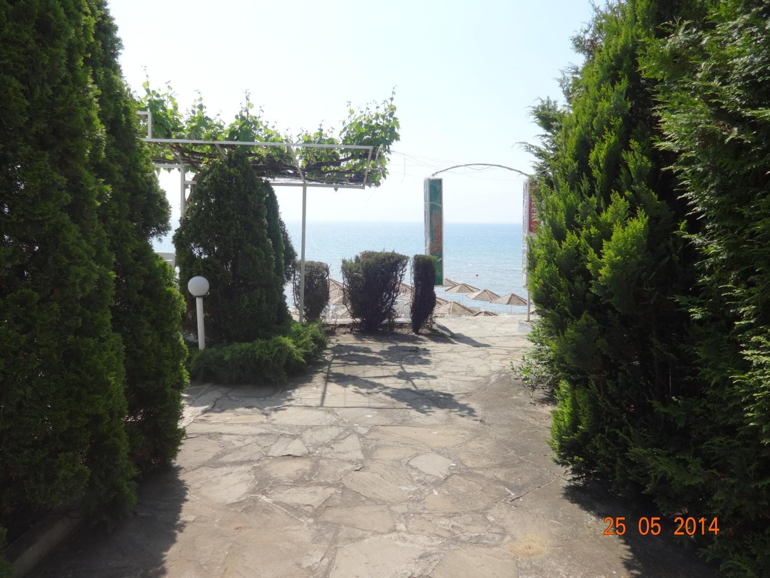 Photo 41