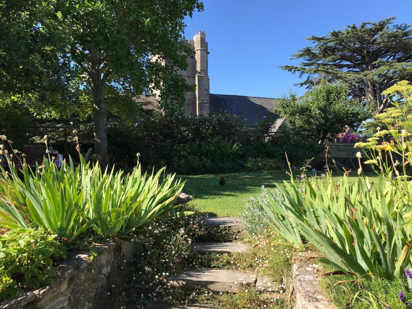 Photo 19