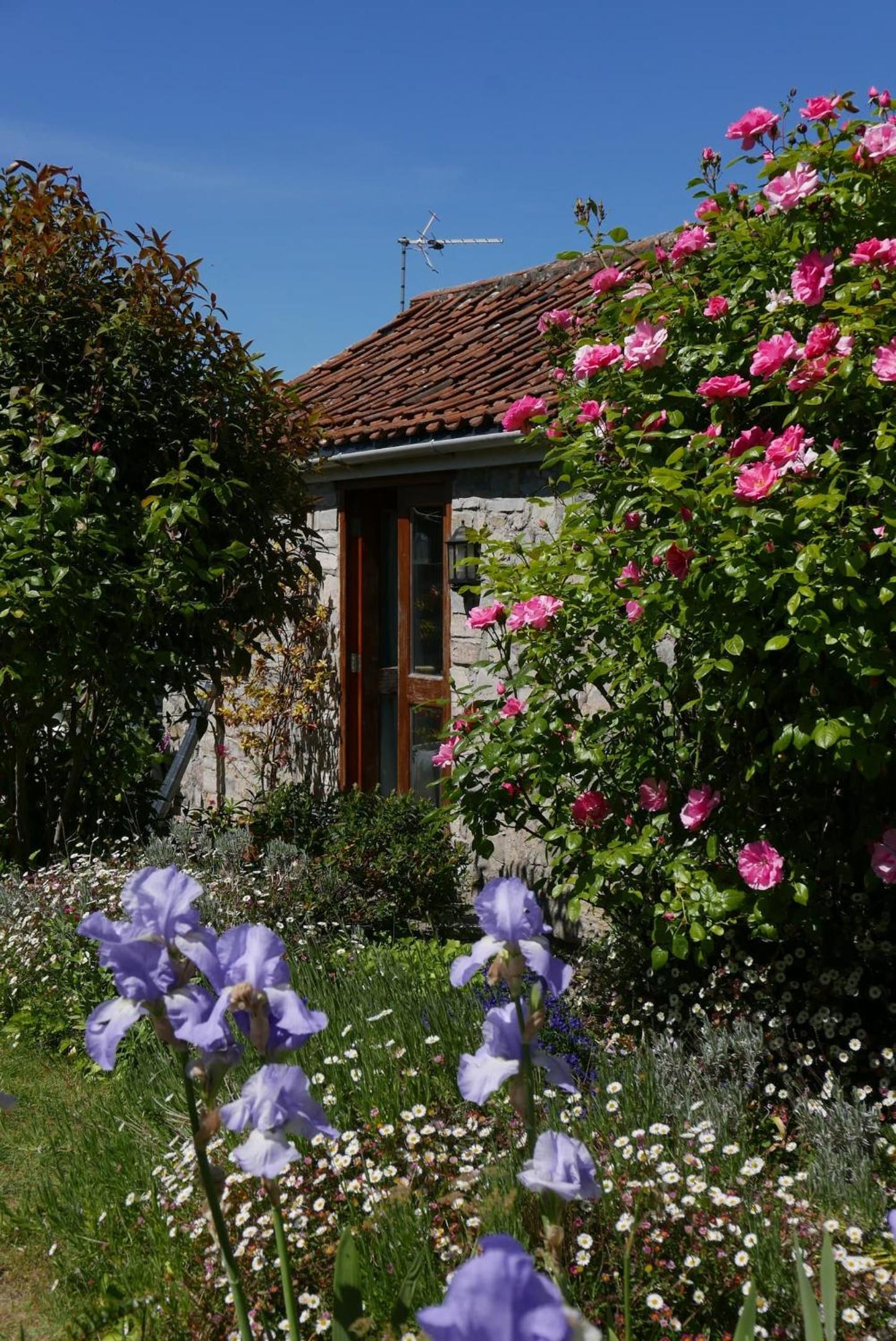 The Potting Shed, self contained, detached retreat in Shapwick village view 2