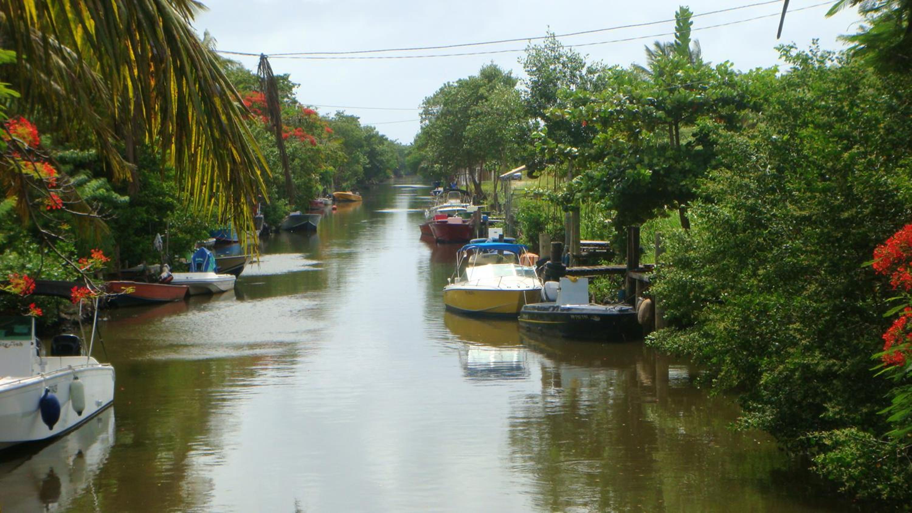 Maison charmante avec piscine a Morne A l'Eau