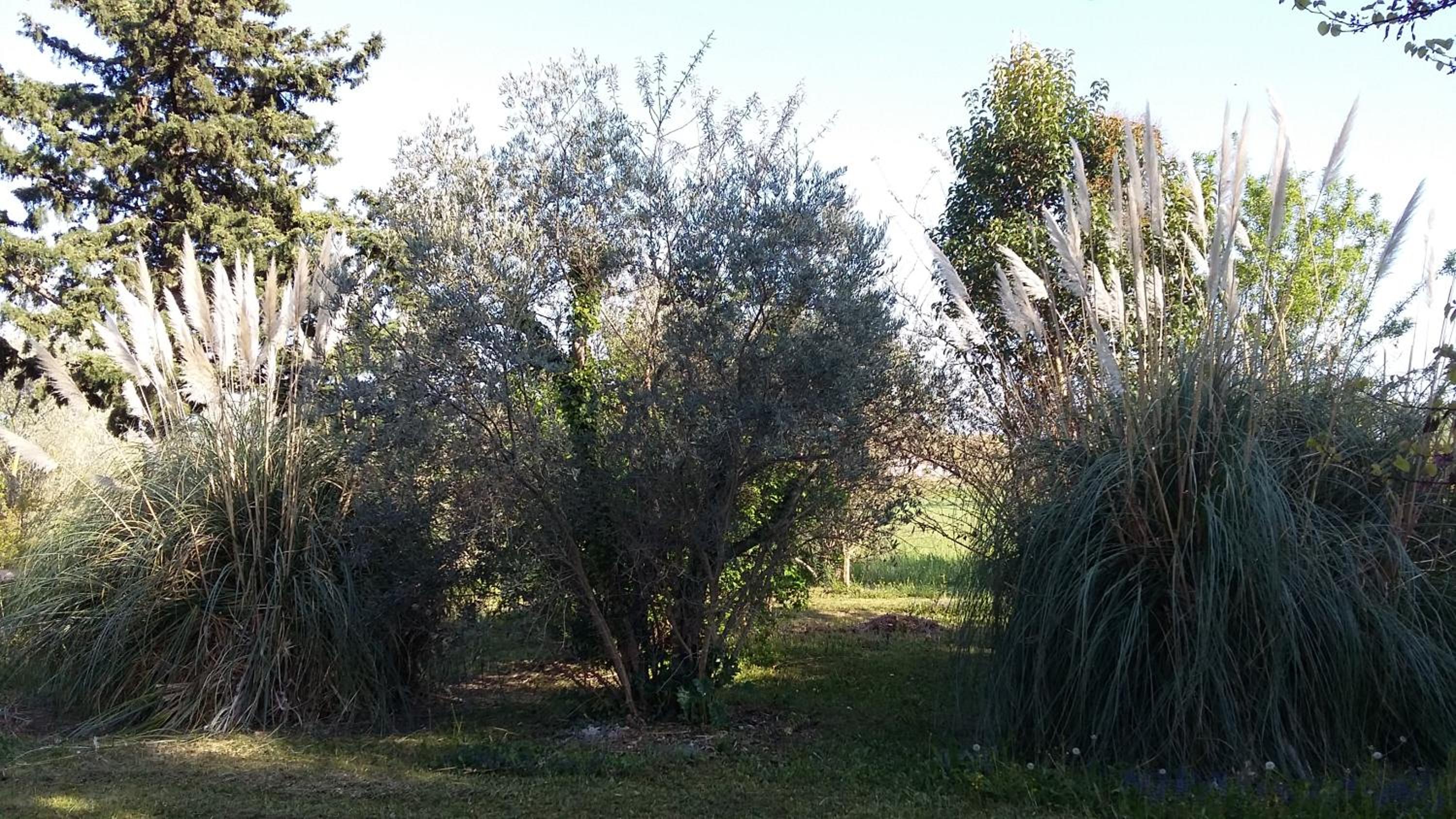 Photo 40