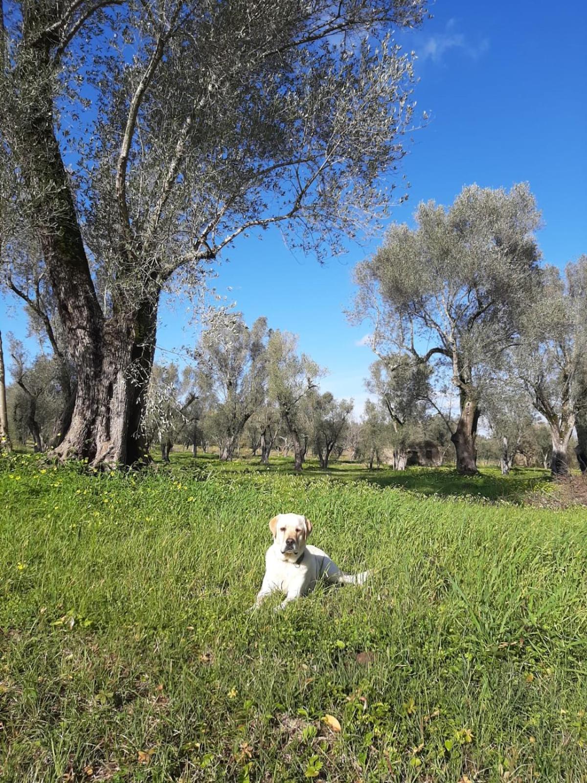 Photo 21