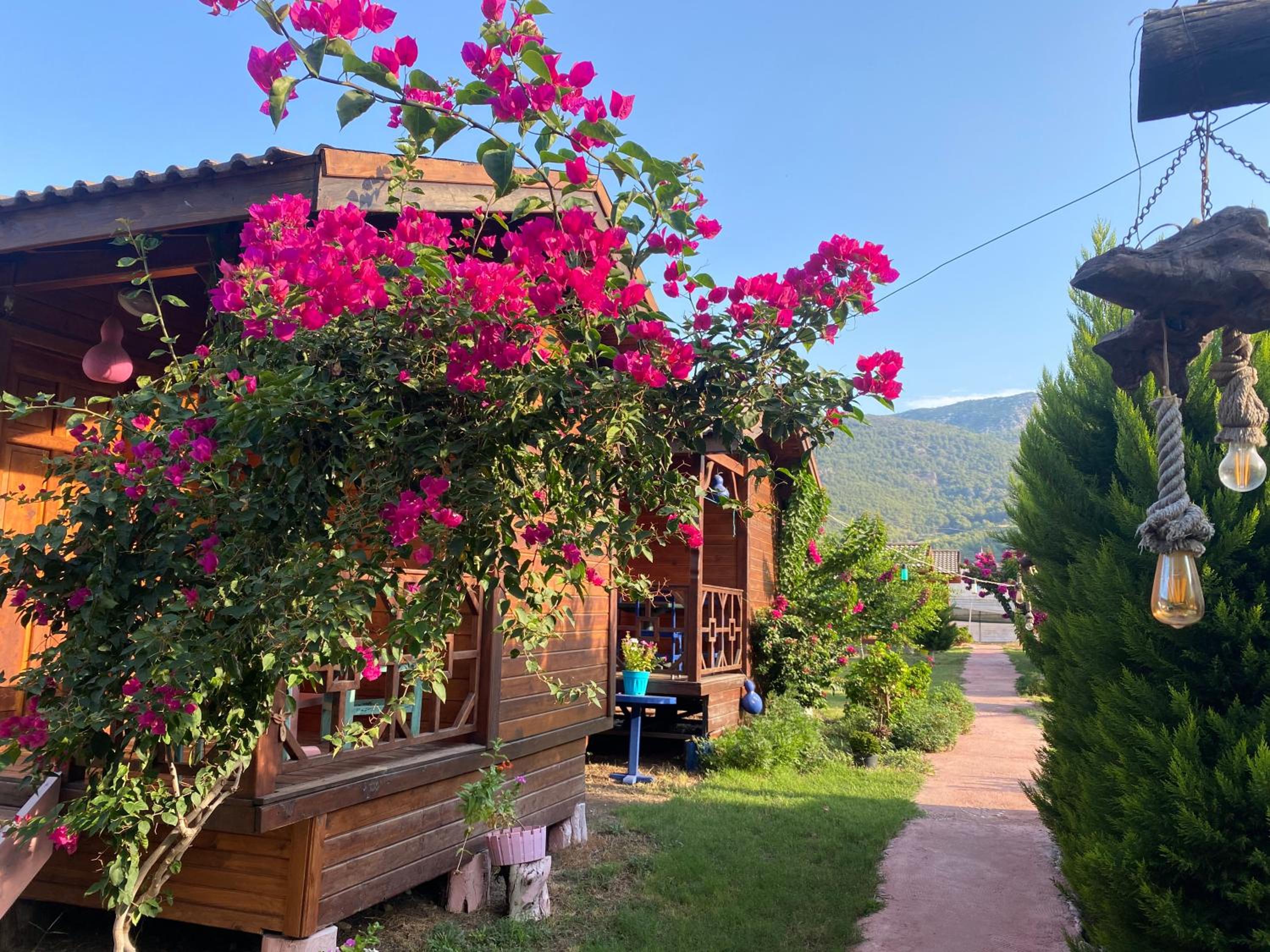 Karaöz Ada Bungalows & Villa view 2