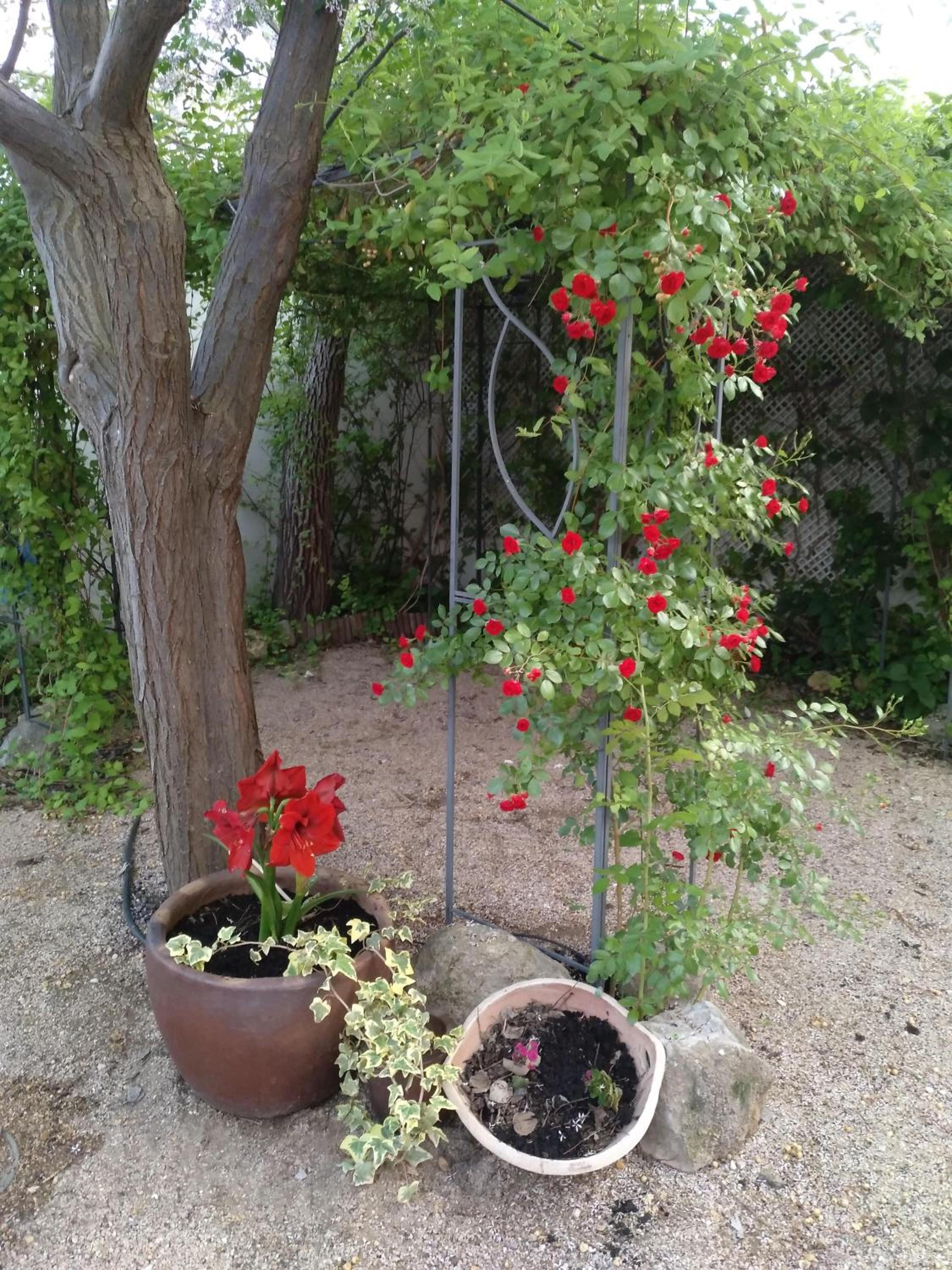 Photo 43