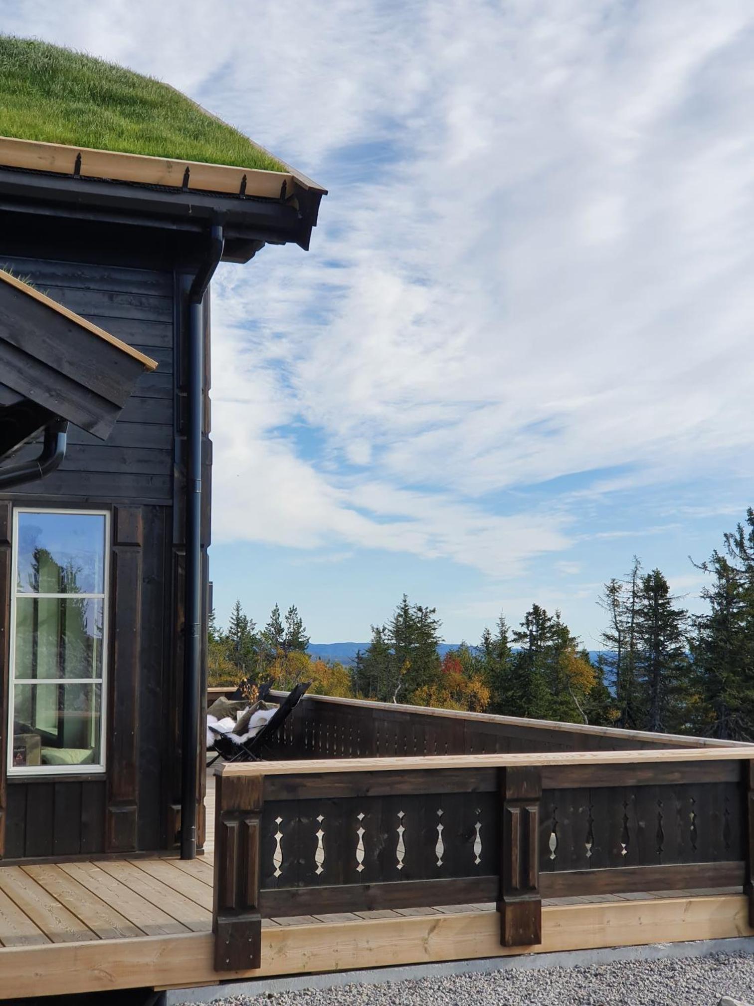 Beautiful cabin at Lifjell perfectly located for hiking and skiing with sauna view 5