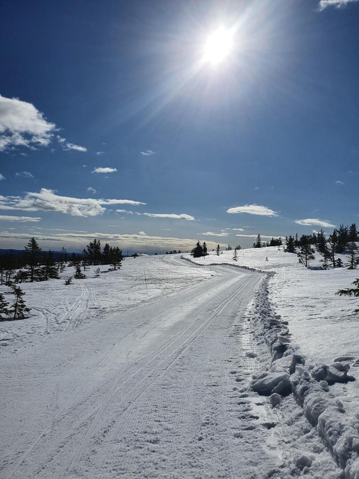 Beautiful cabin at Lifjell perfectly located for hiking and skiing with sauna view 3