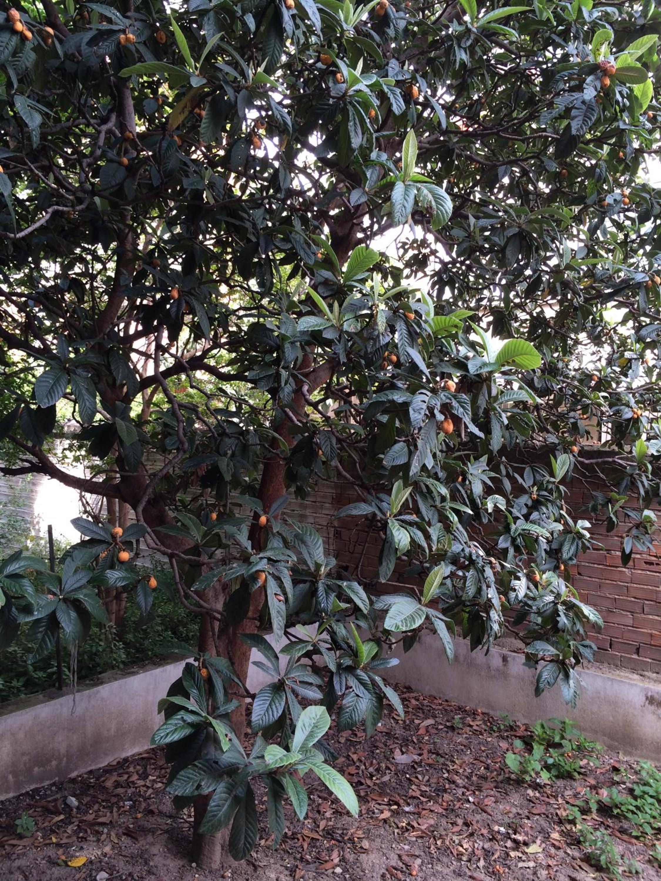 Konakli Apartments Izmir - Image 12